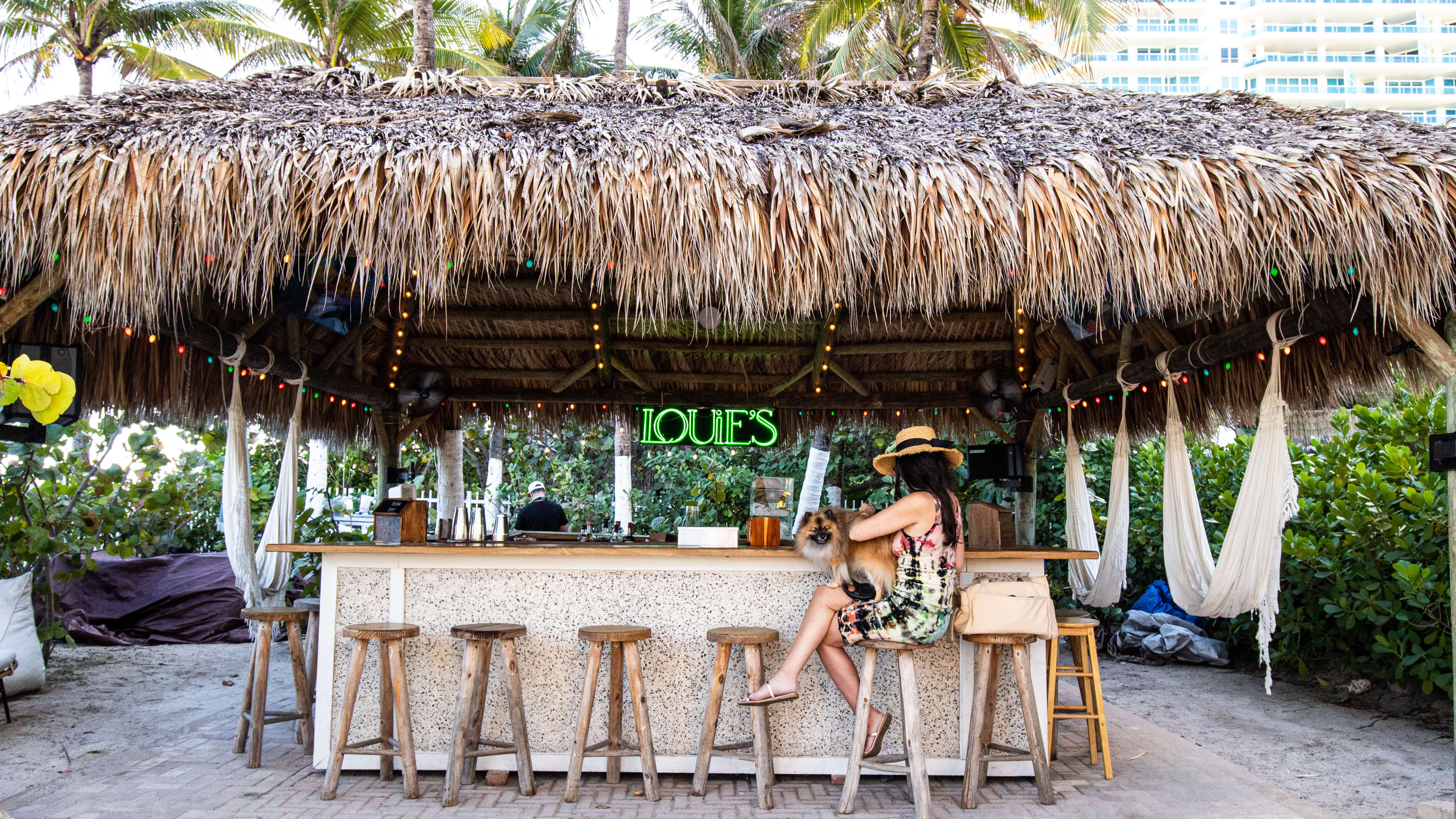 Outdoor bar in lush jungle-like location with straw roof