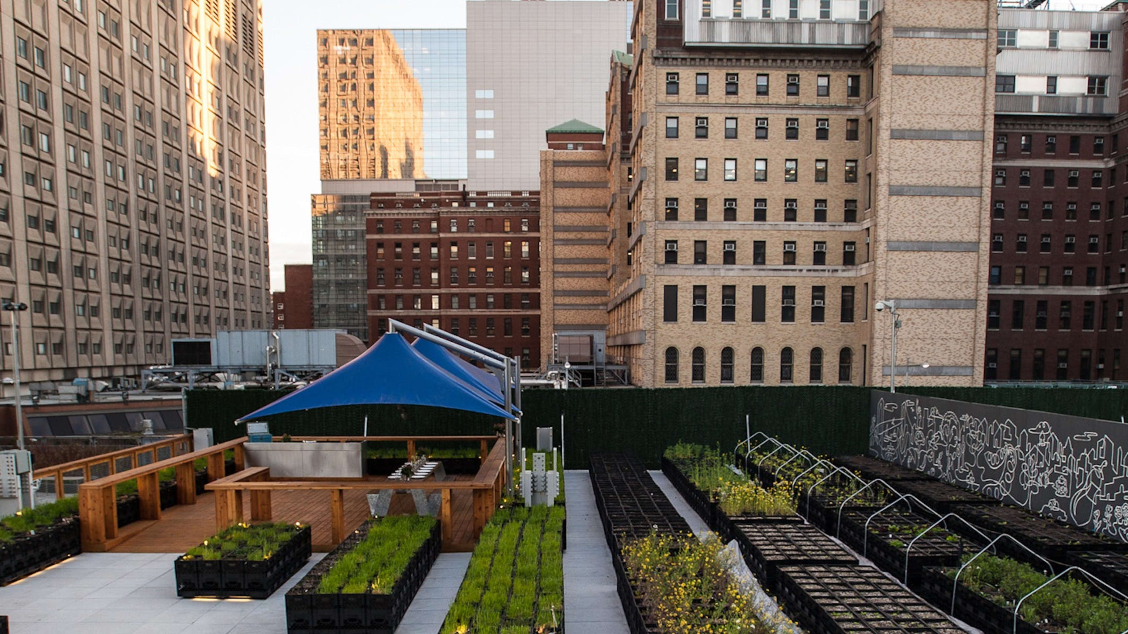 The Secret Rooftops & Patios Of NYC image