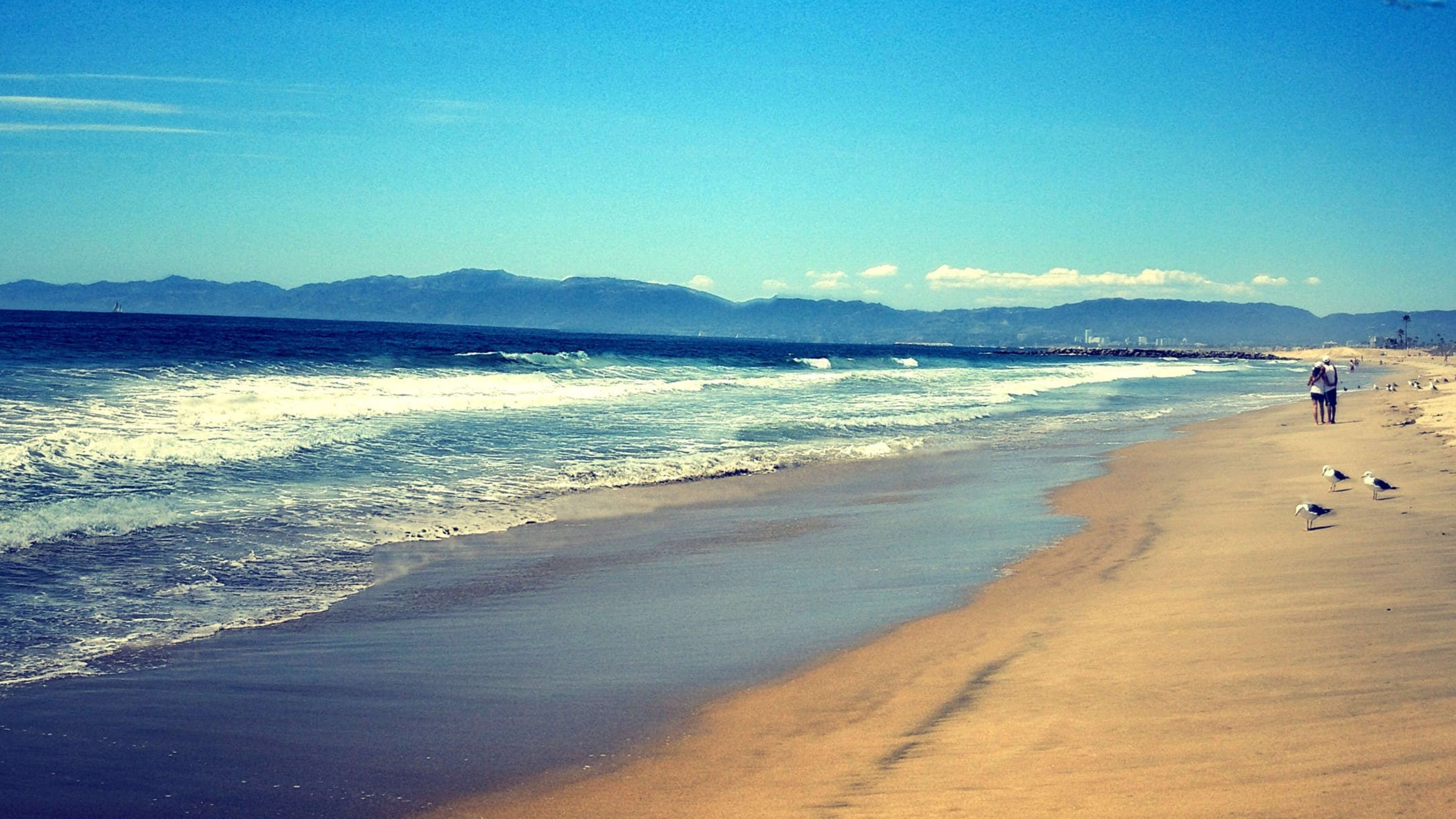 playa-provisions-review-playa-del-rey-los-angeles-the-infatuation