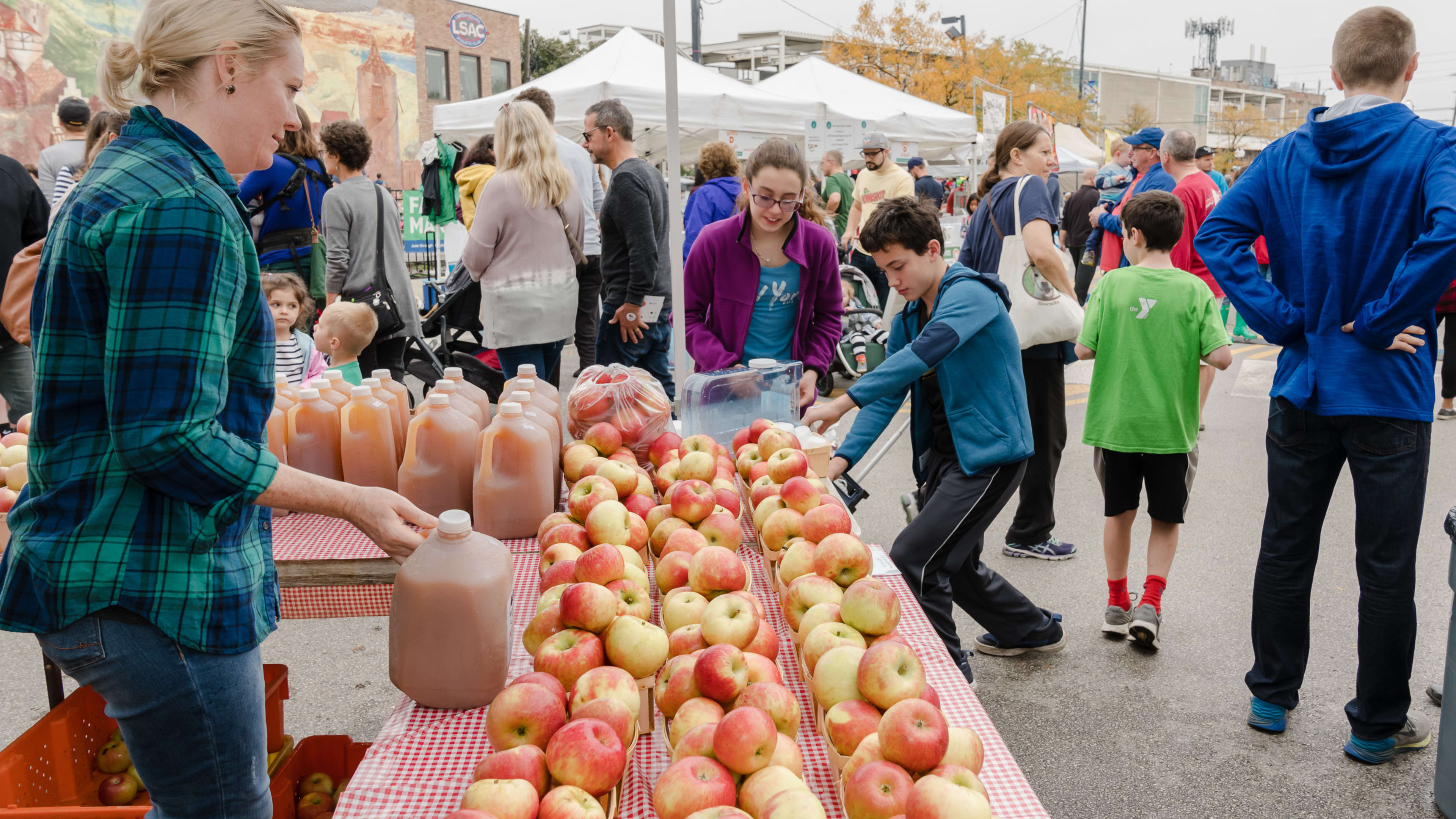 The Ultimate Chicago Fall Festival Guide  image