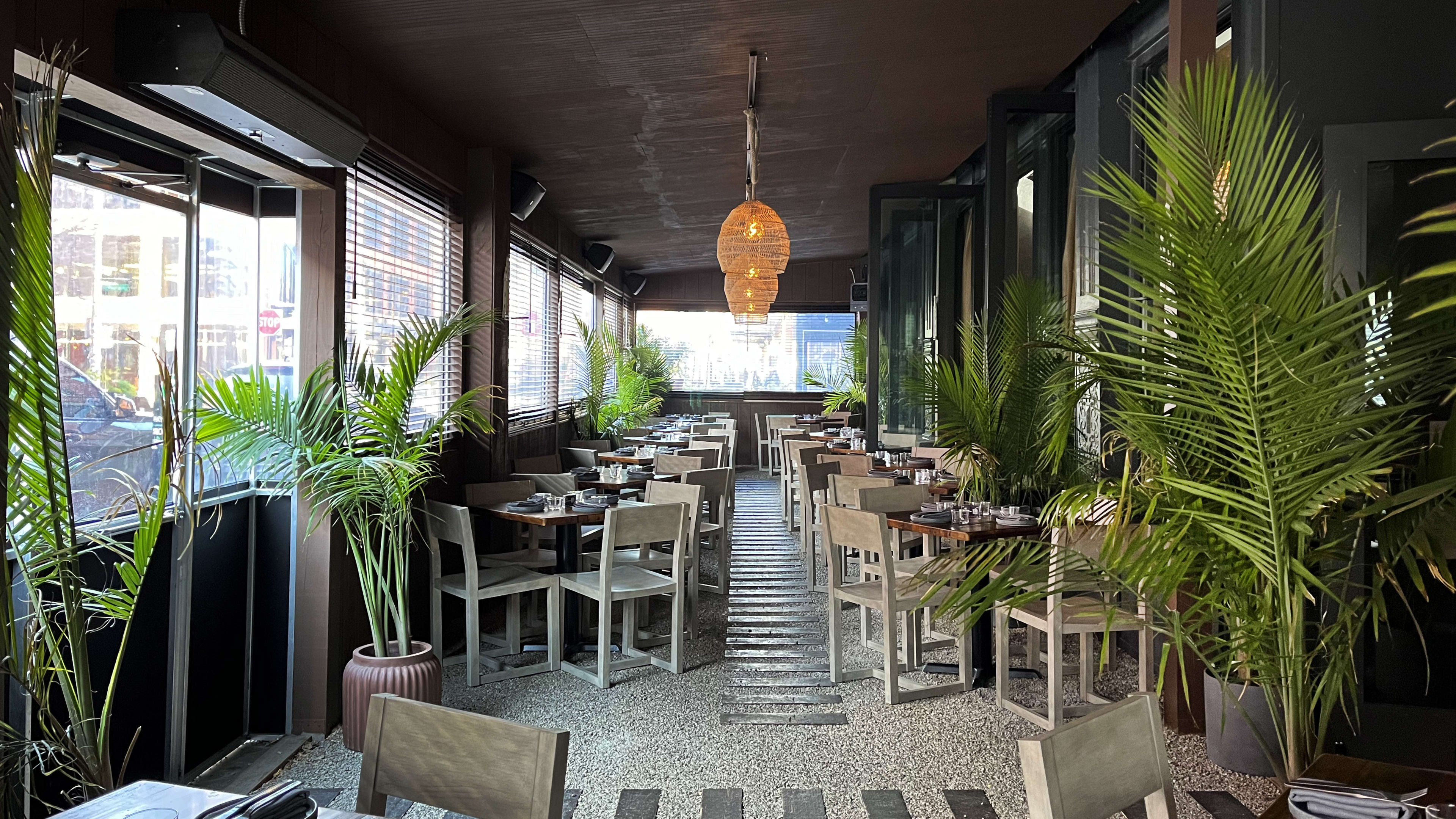 The enclosed patio at Costera. There are green plants, basket lights, and wooden tables and chairs.