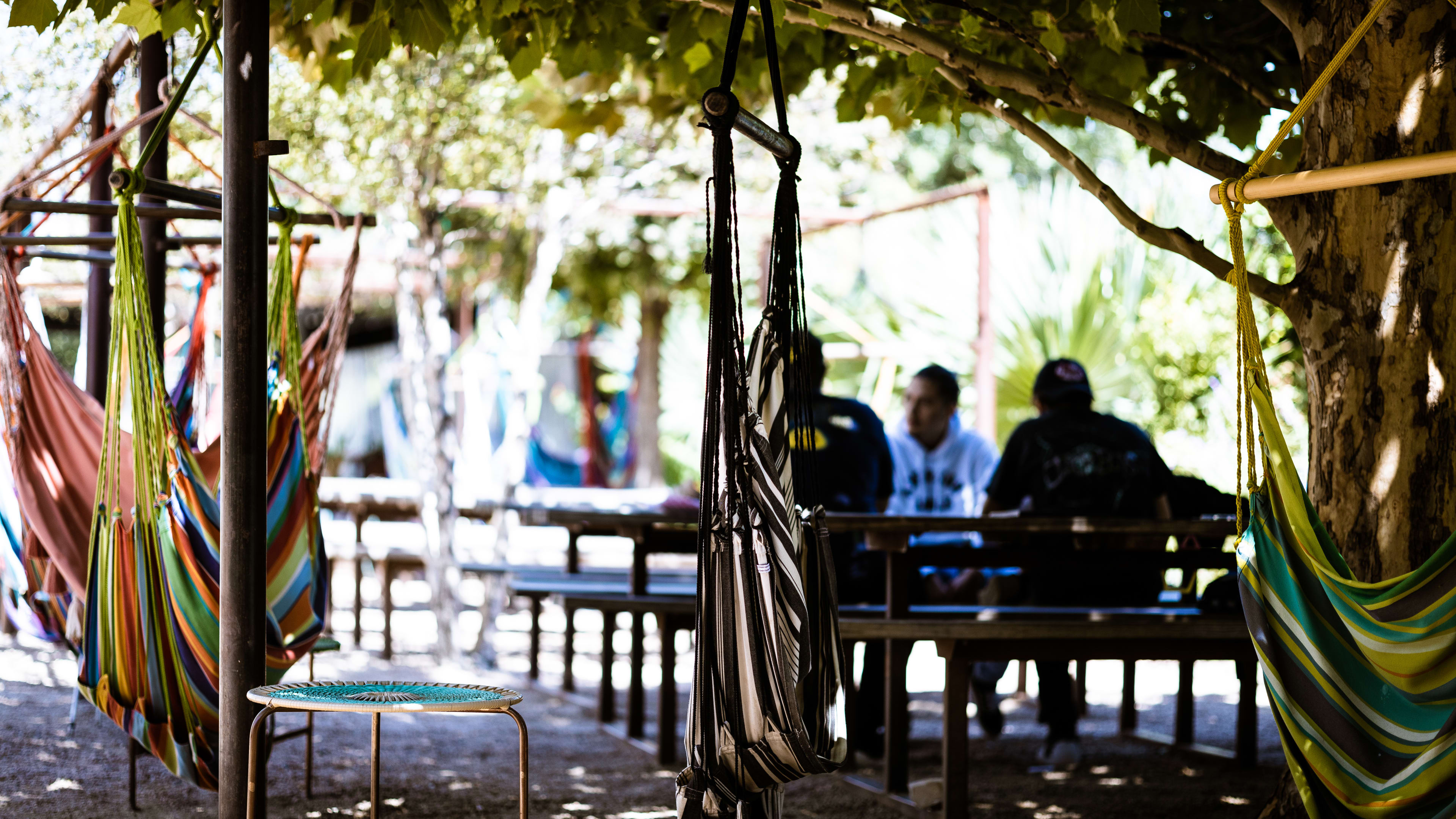 Axelrad Beer Garden Review - Midtown - Houston - The Infatuation