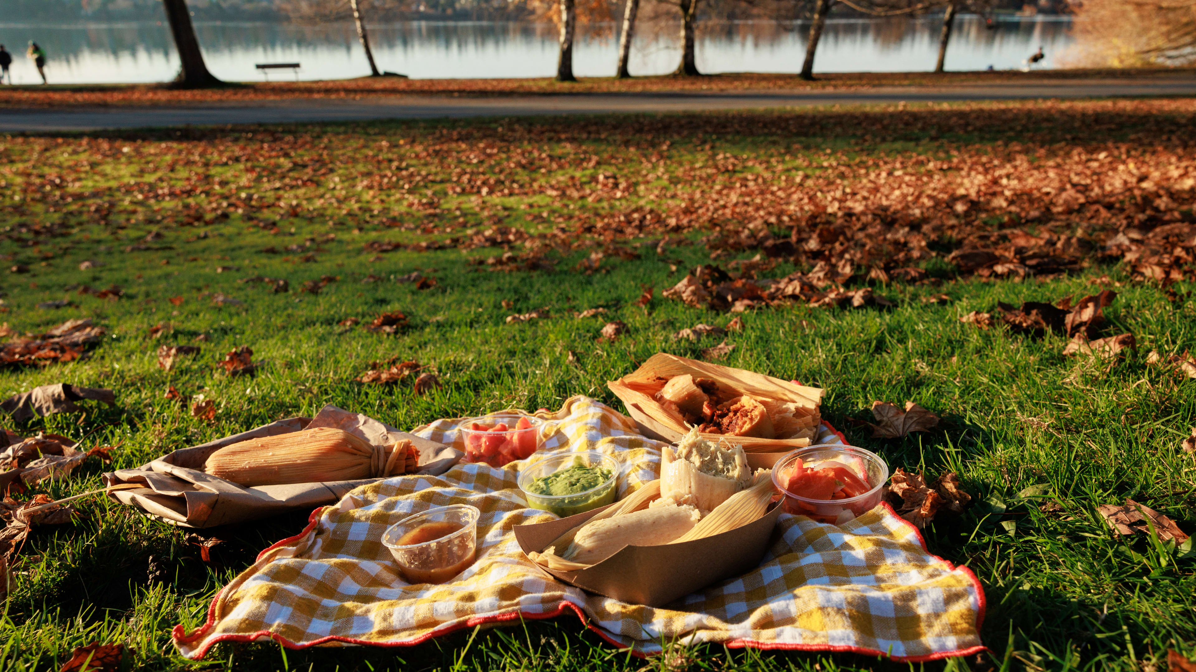 Picnic blanket with tamales at park with fallen leaves.