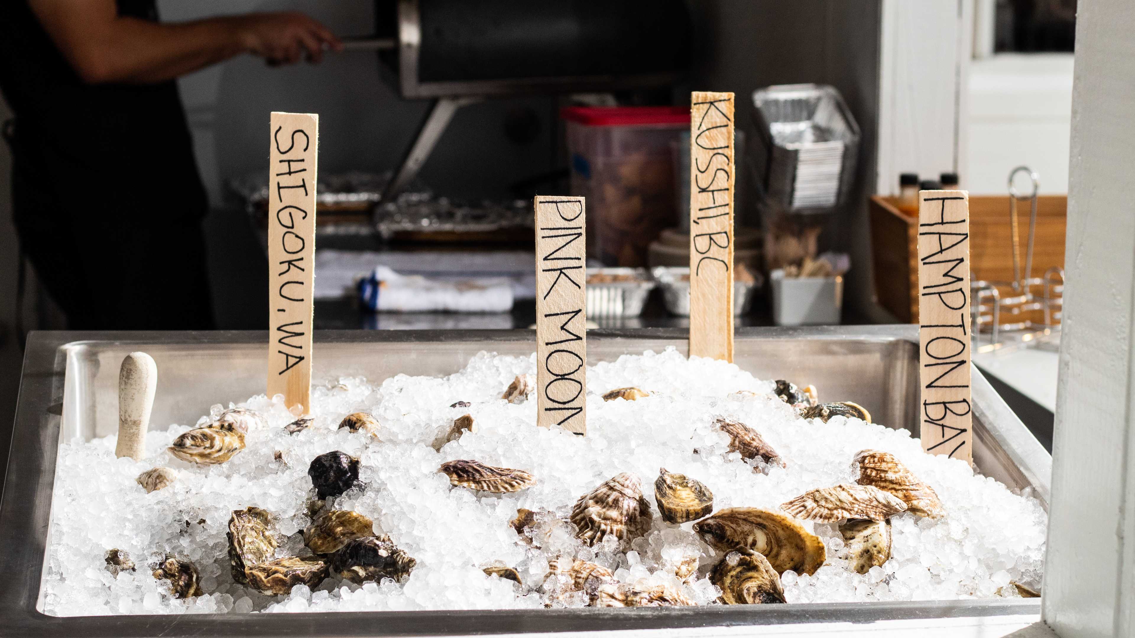 ice trough filled with oysters