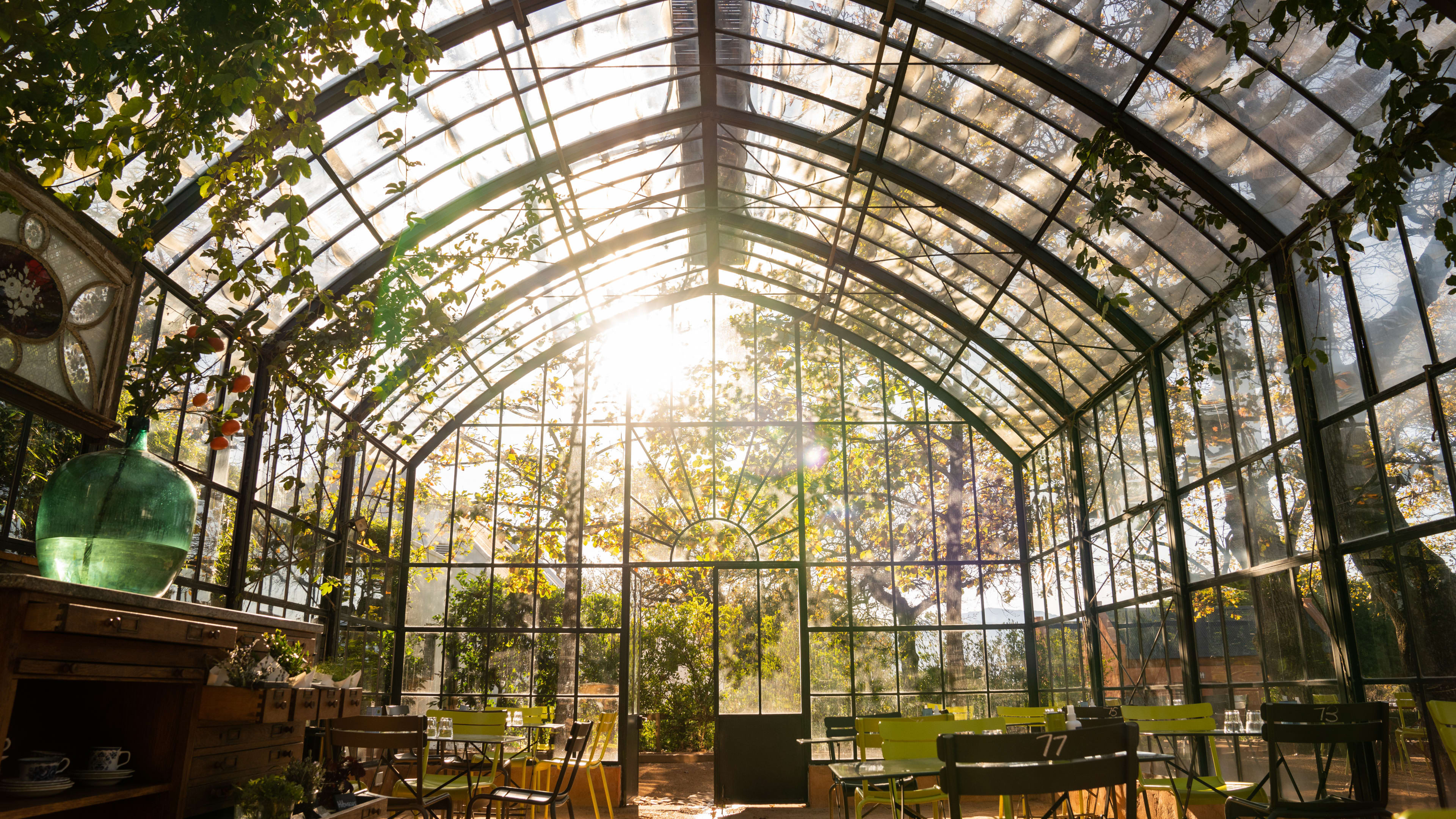 Babylonstoren image