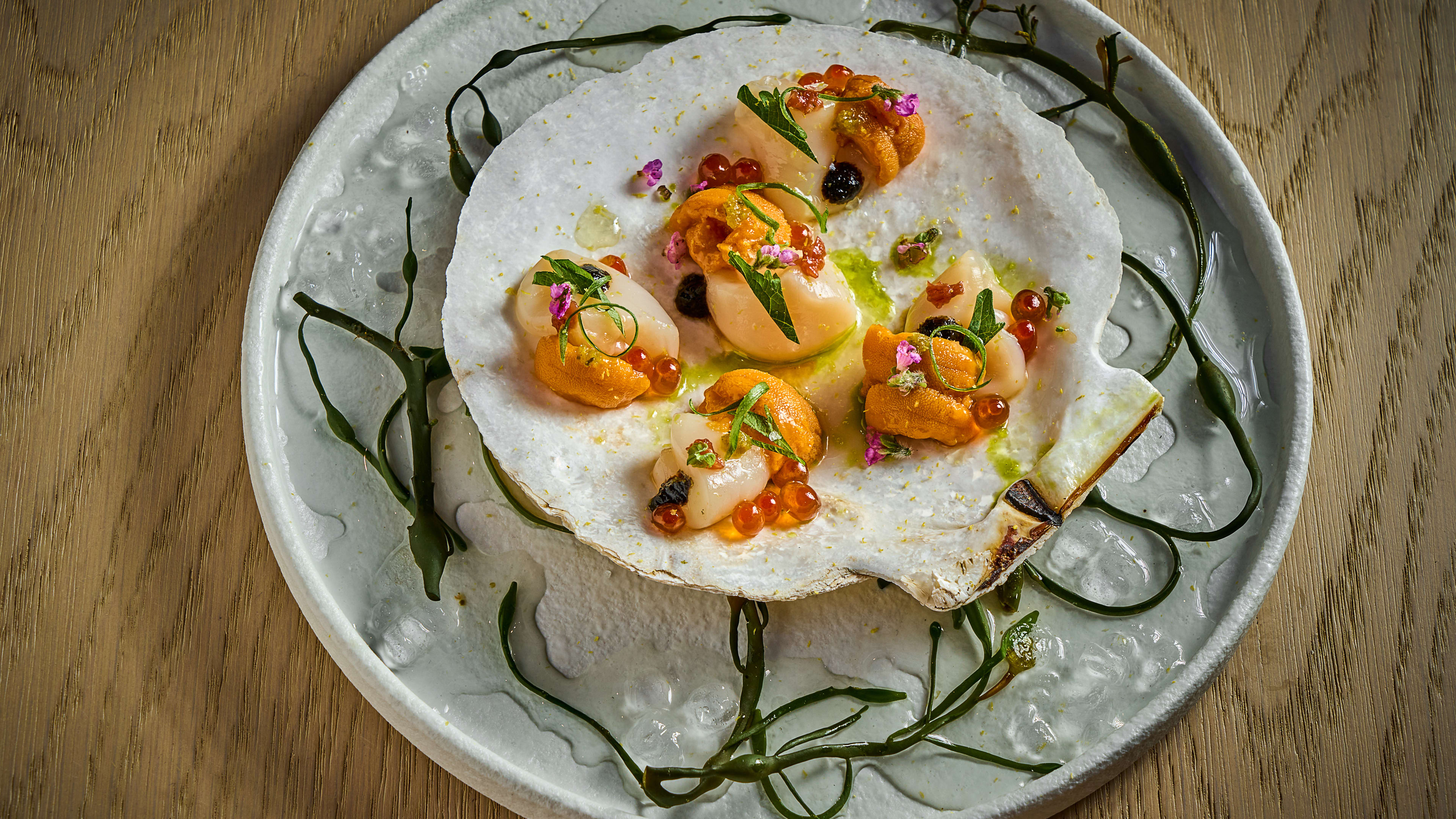 a scallop crudo on the half shell with uni and salmon roe