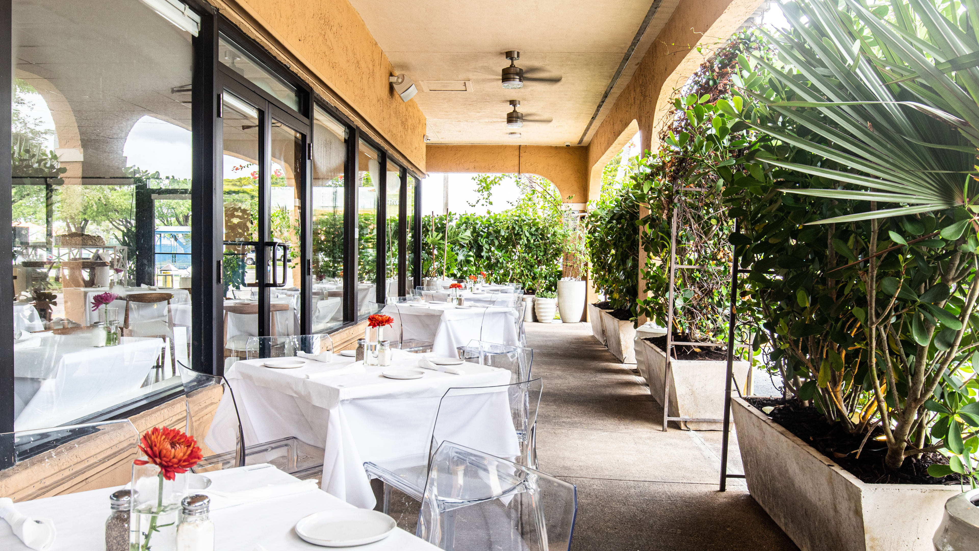 Outdoor seating at Madroño.