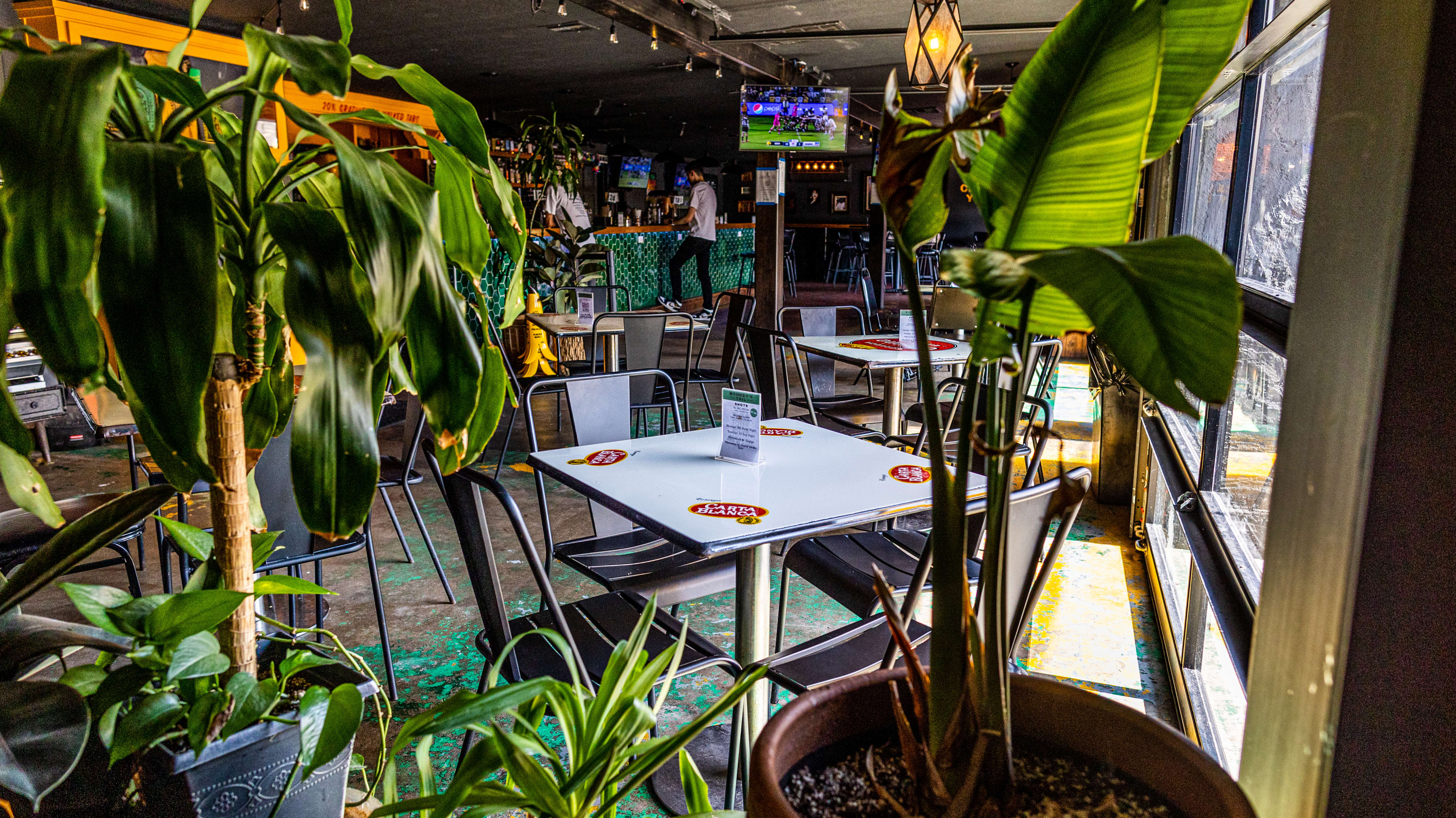 Monkey’s Tail Review - Lindale Park - Houston - The Infatuation