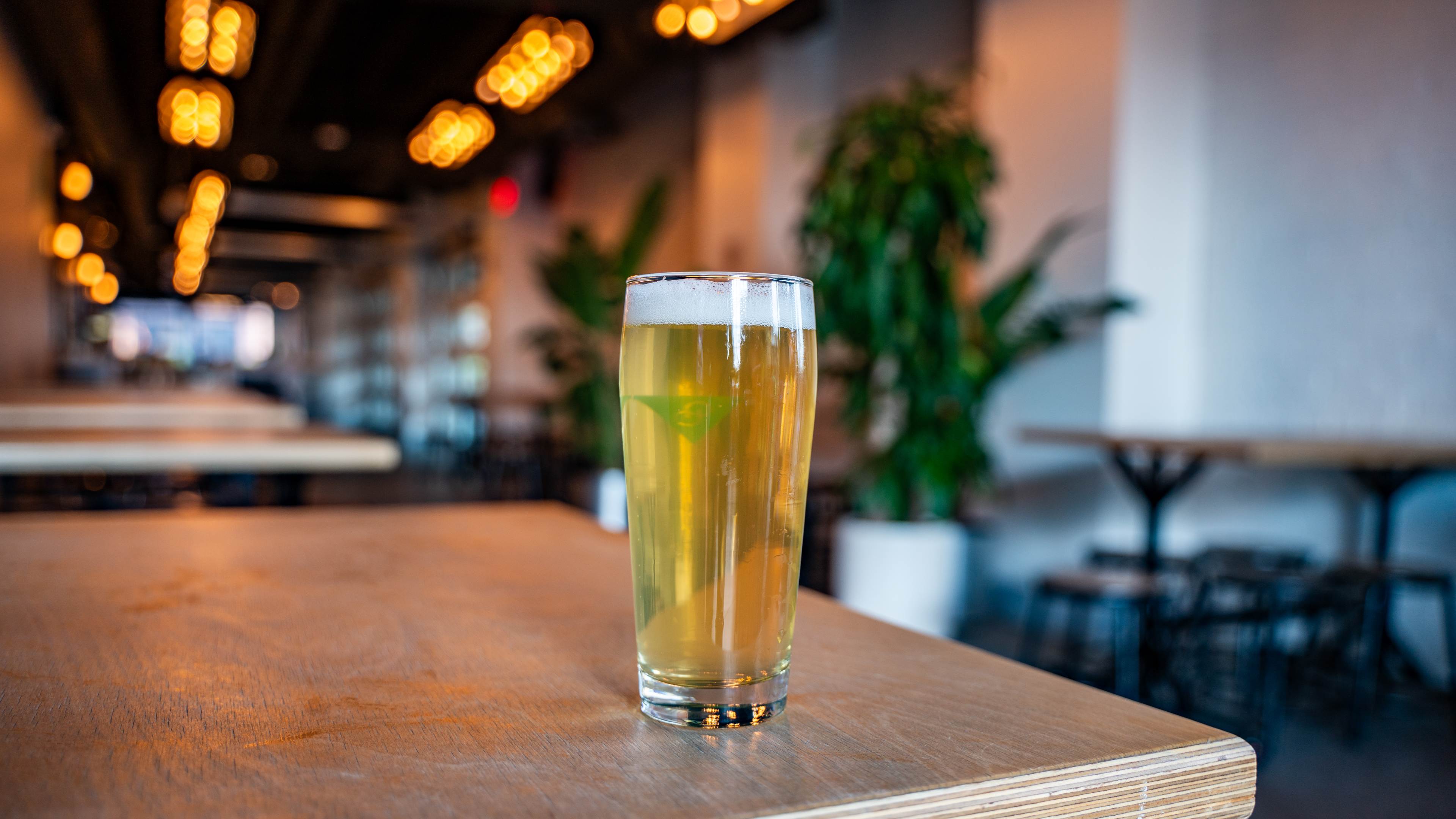 beer in glass on tabletop