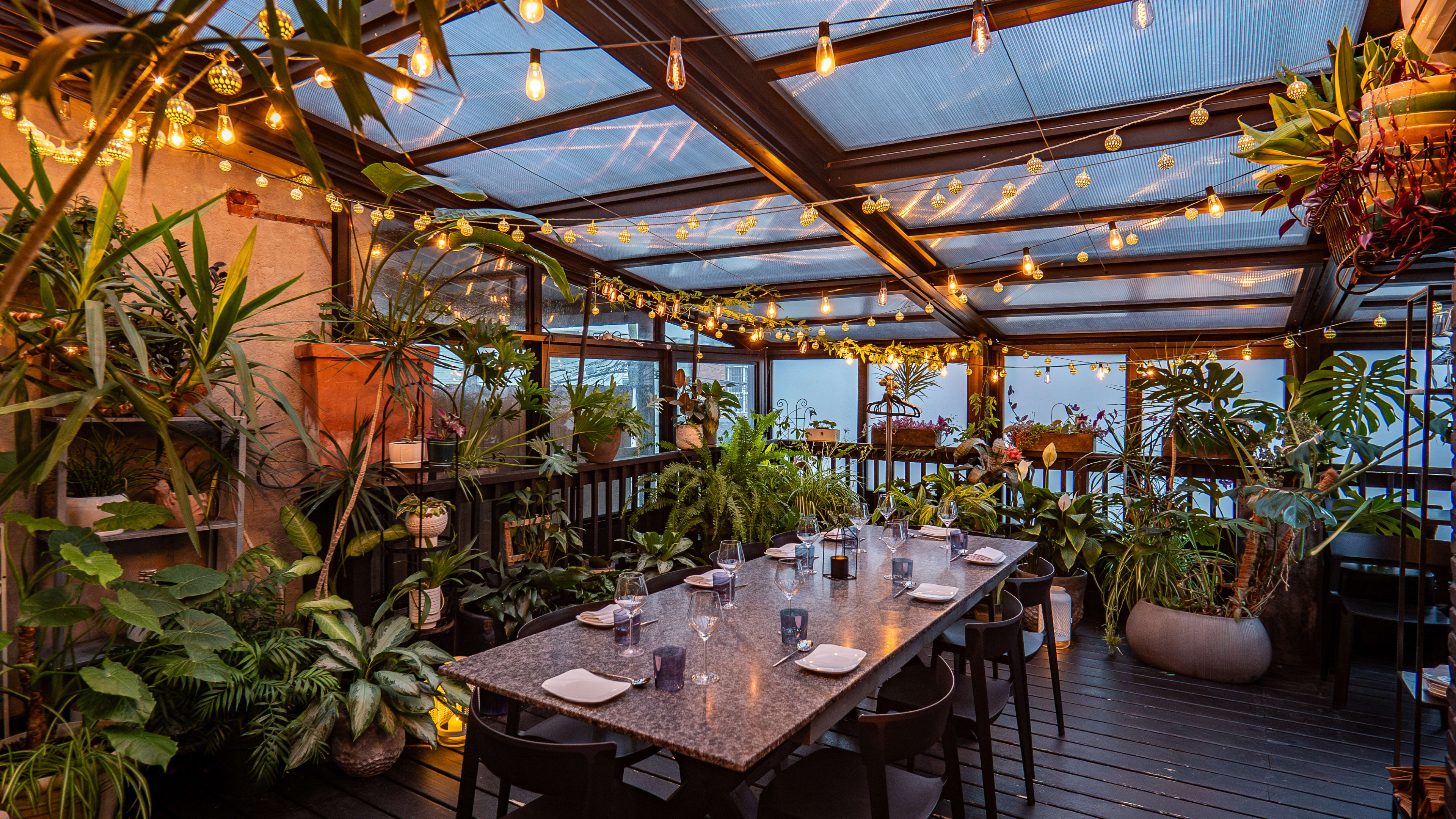 covered patio with string lights and plants