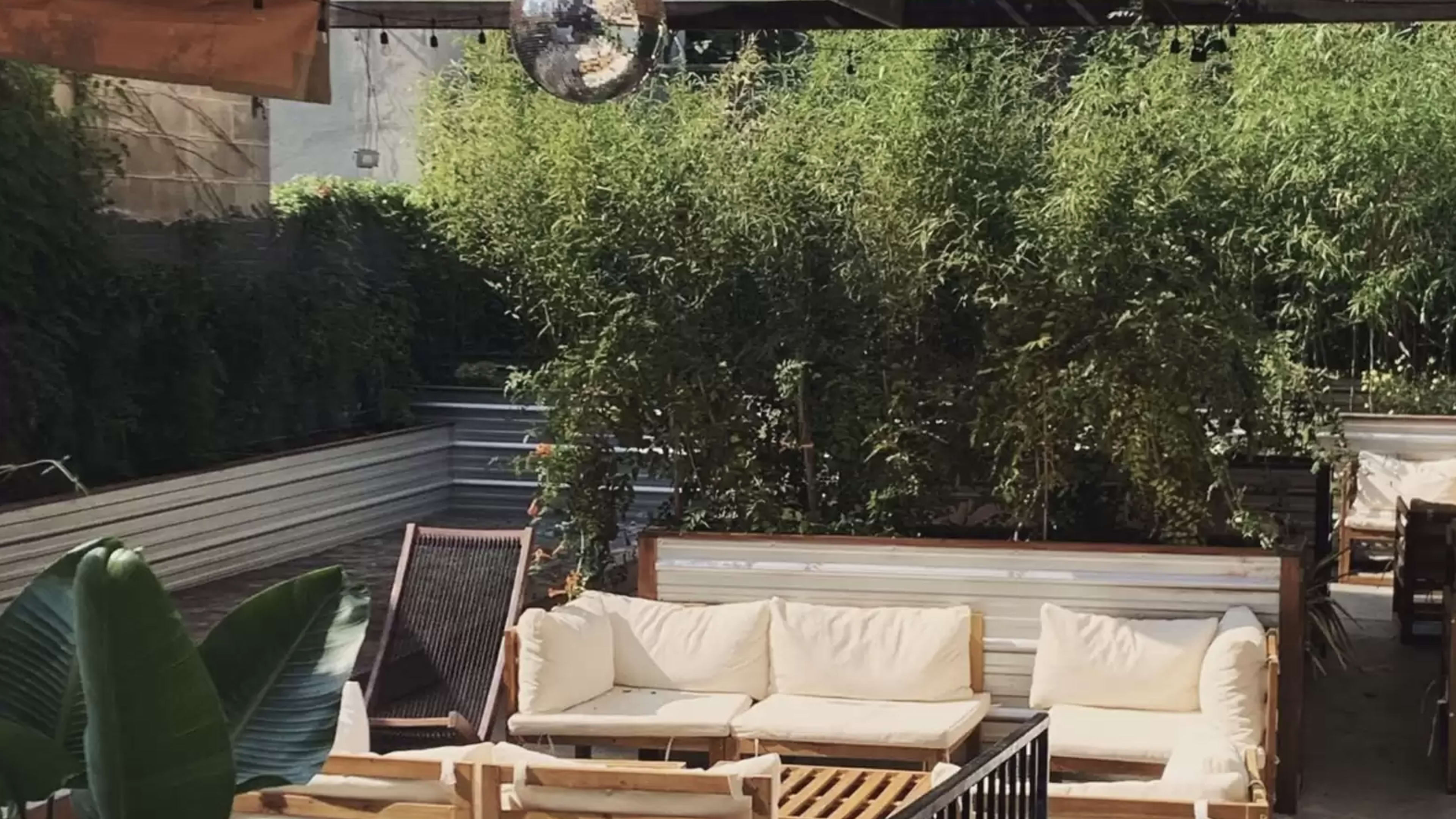 A restaurant backyard with greenery and a couch.