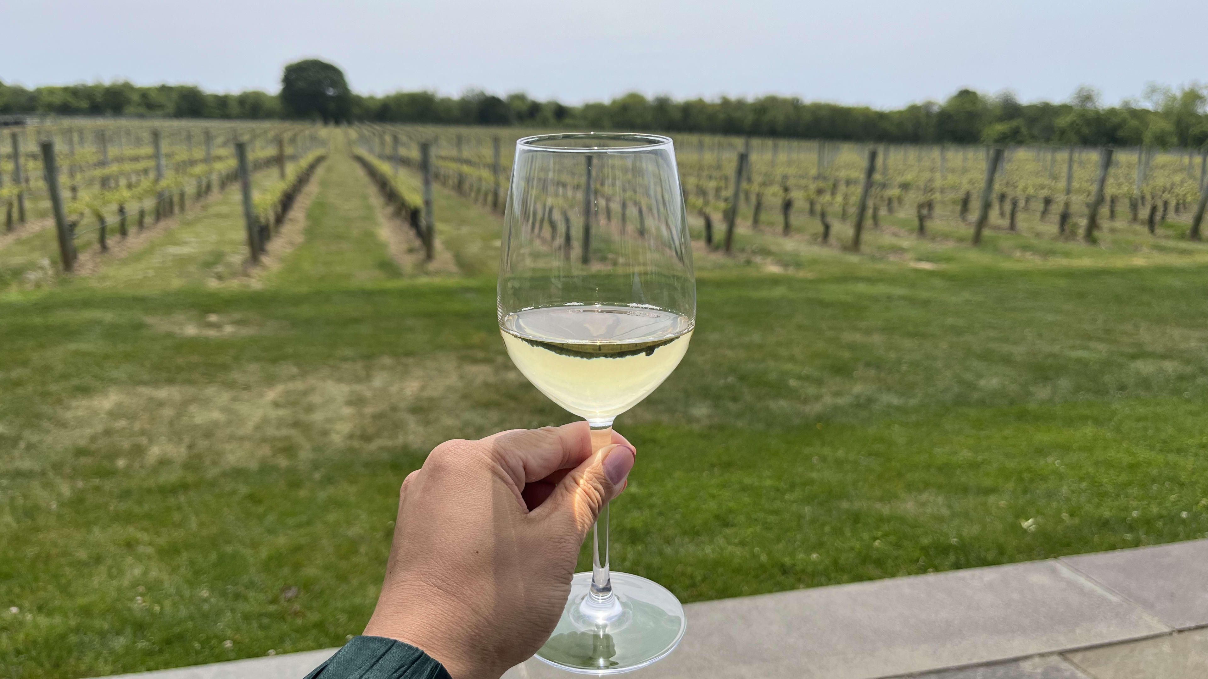 Long Island Restaurant Reviews The Infatuation