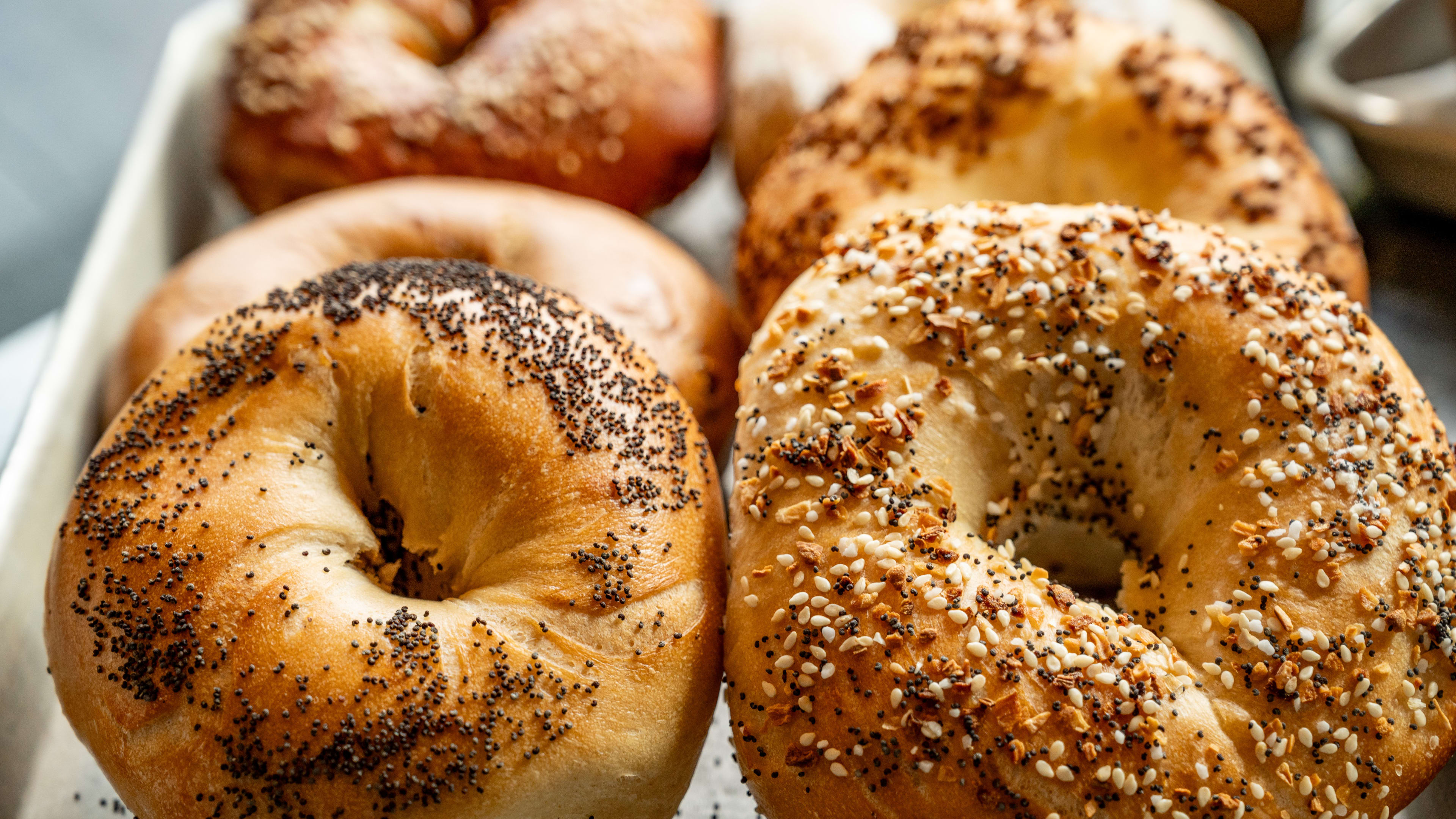 The 11 Best Bagels In Philly  image