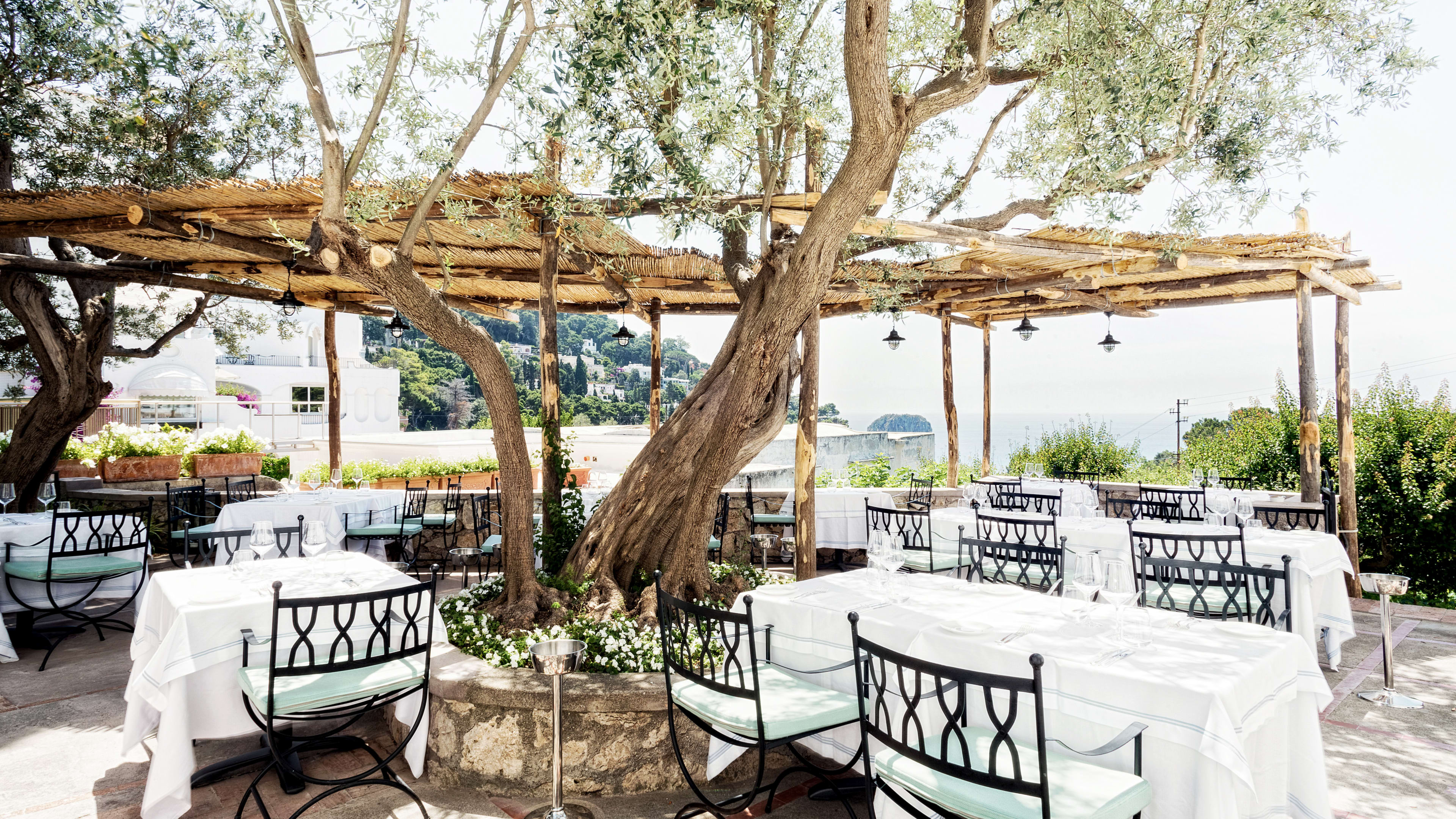 Tables under olive trees at Villa Margherita restaurant in Capri