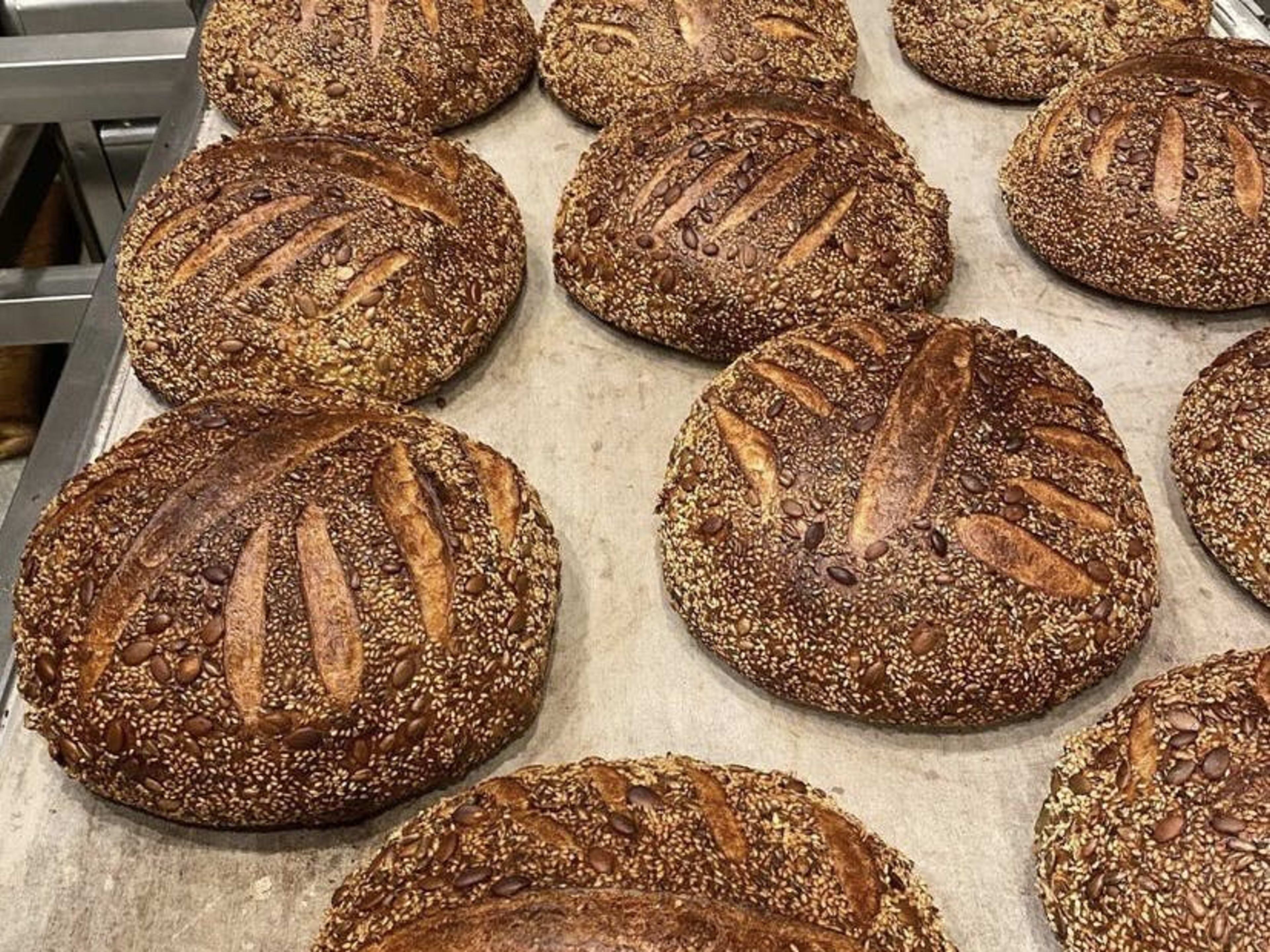 Layla Bagels Review Santa Monica Los Angeles The Infatuation