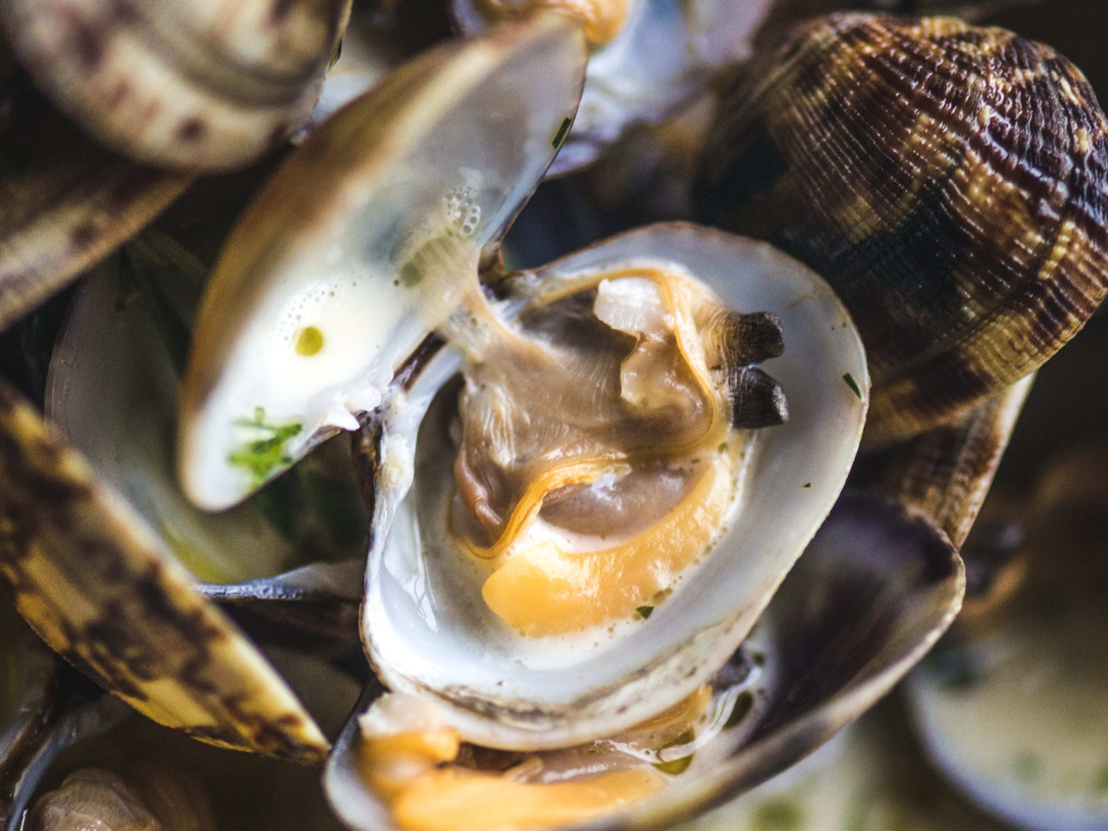 The Best Seafood Markets In Boston Boston The Infatuation