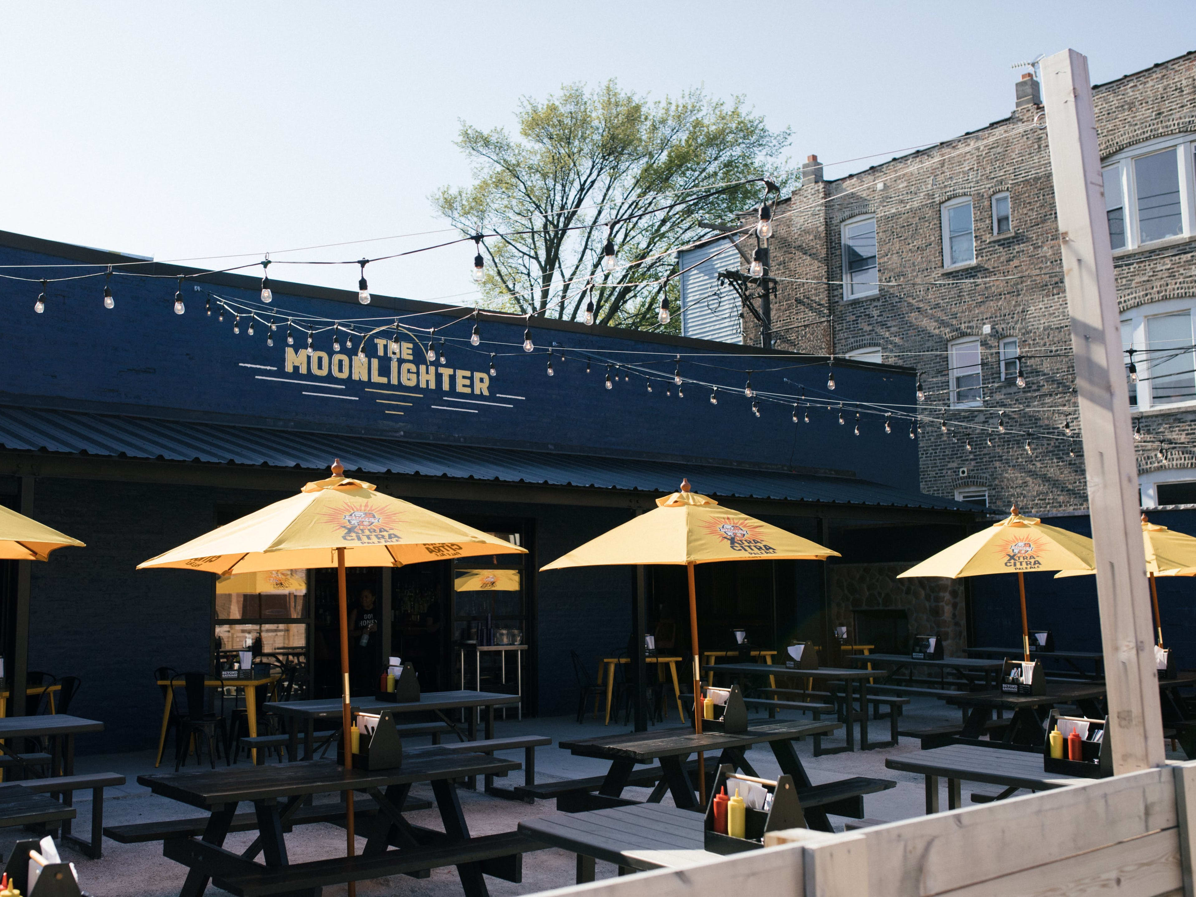 Where To Eat And Drink With Your Dog Chicago The Infatuation