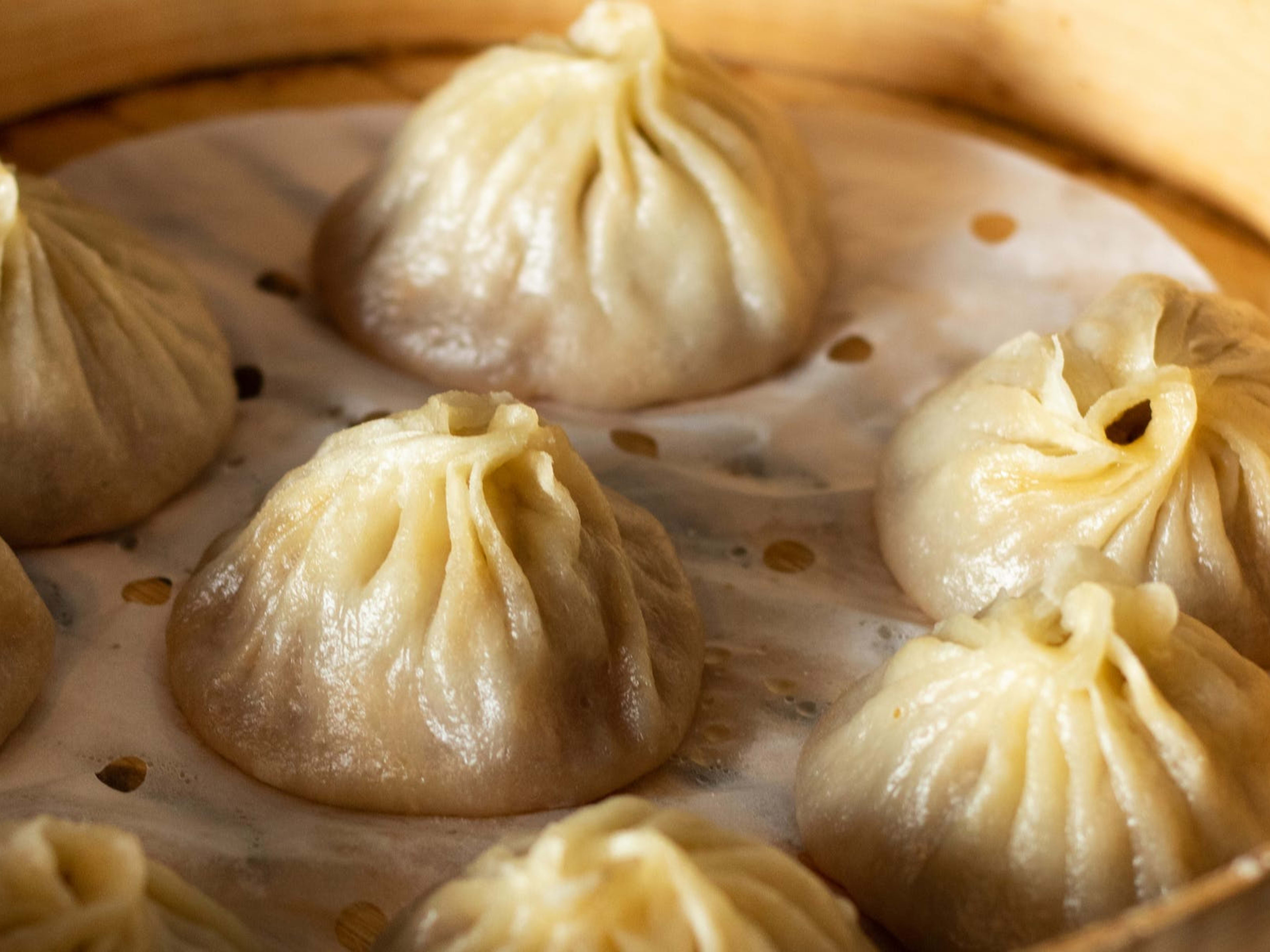 The Best Dumplings In Miami  guide image