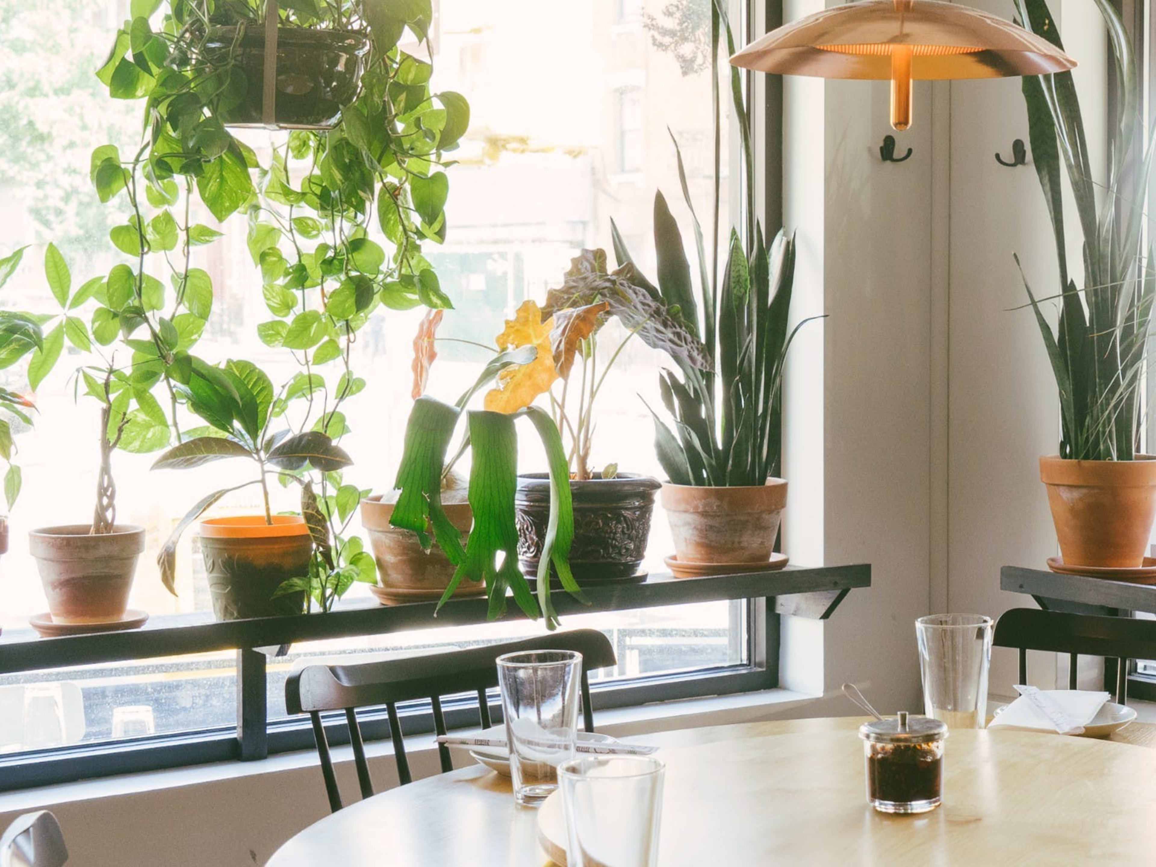 24 NYC Restaurants With Big Round Tables guide image