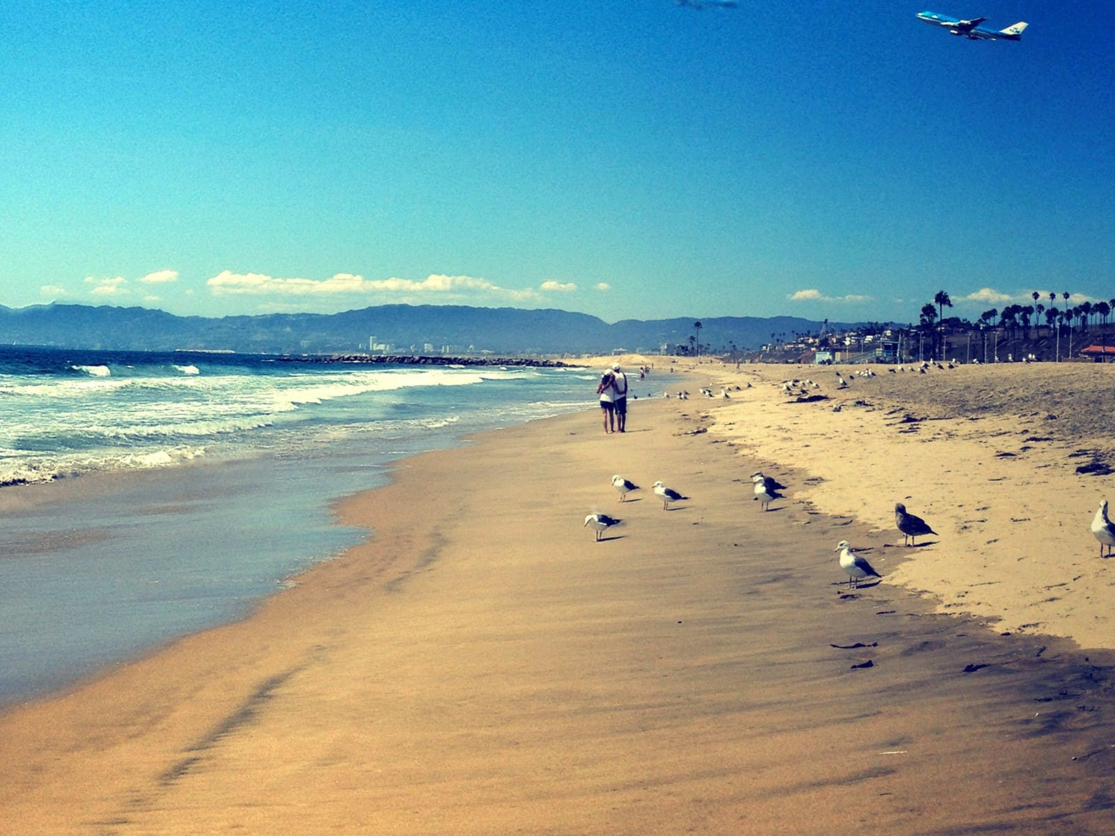 Where To Eat & Drink In Playa Del Rey Los Angeles The Infatuation