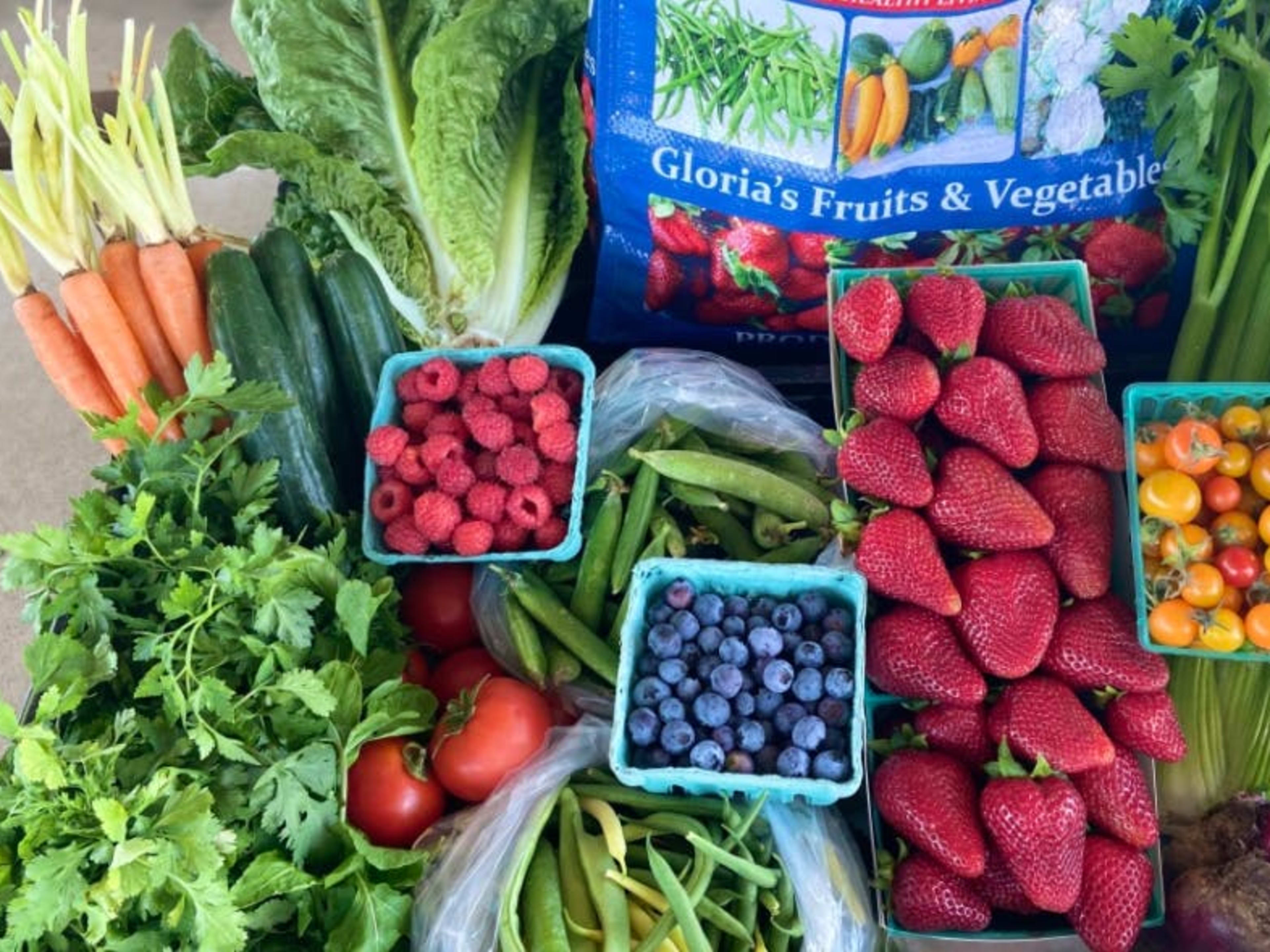 12 Great Produce Boxes To Order & Support LA Farms Los Angeles The