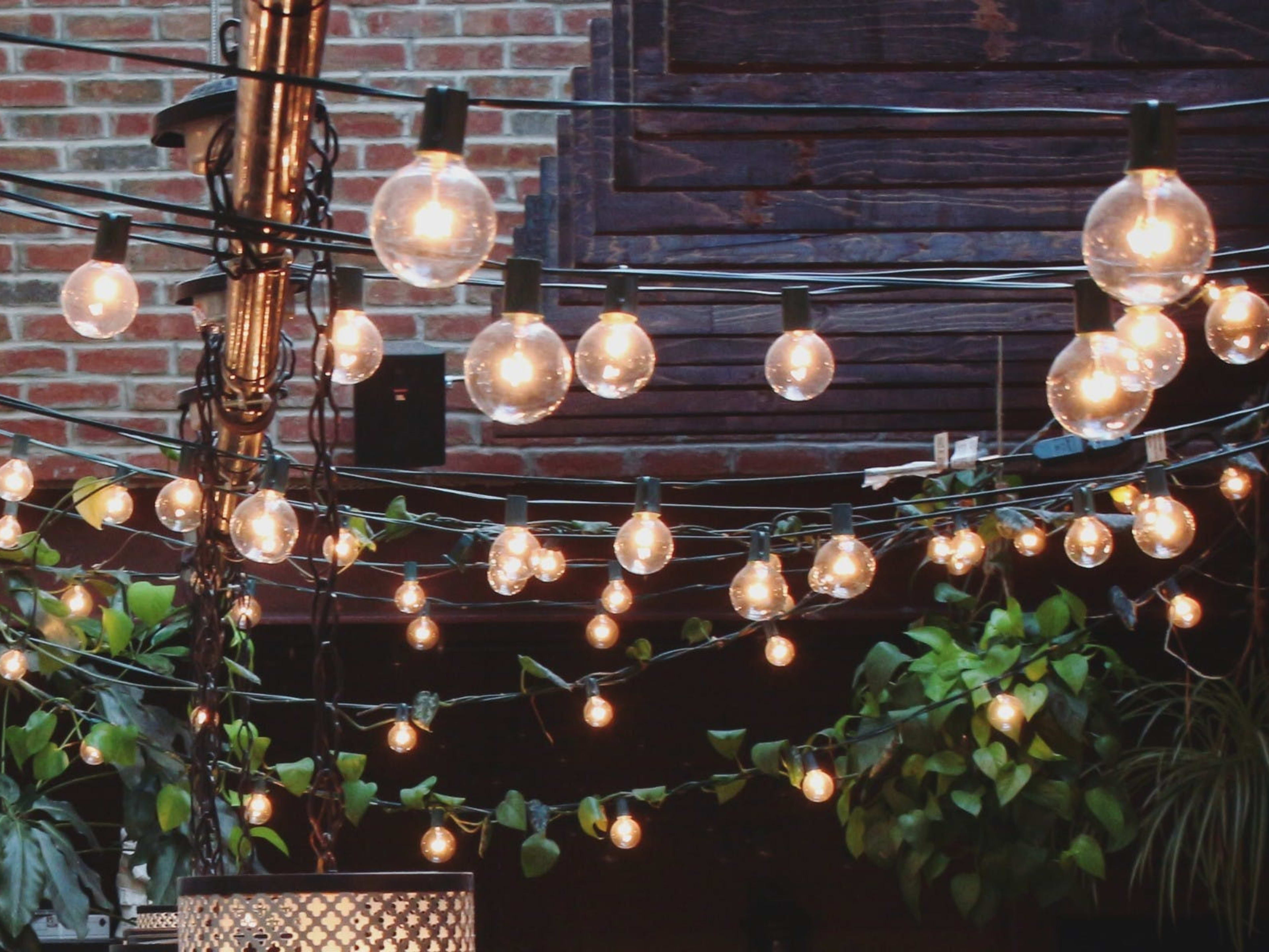 Rose’s Luxury Capitol Hill Washington DC The Infatuation