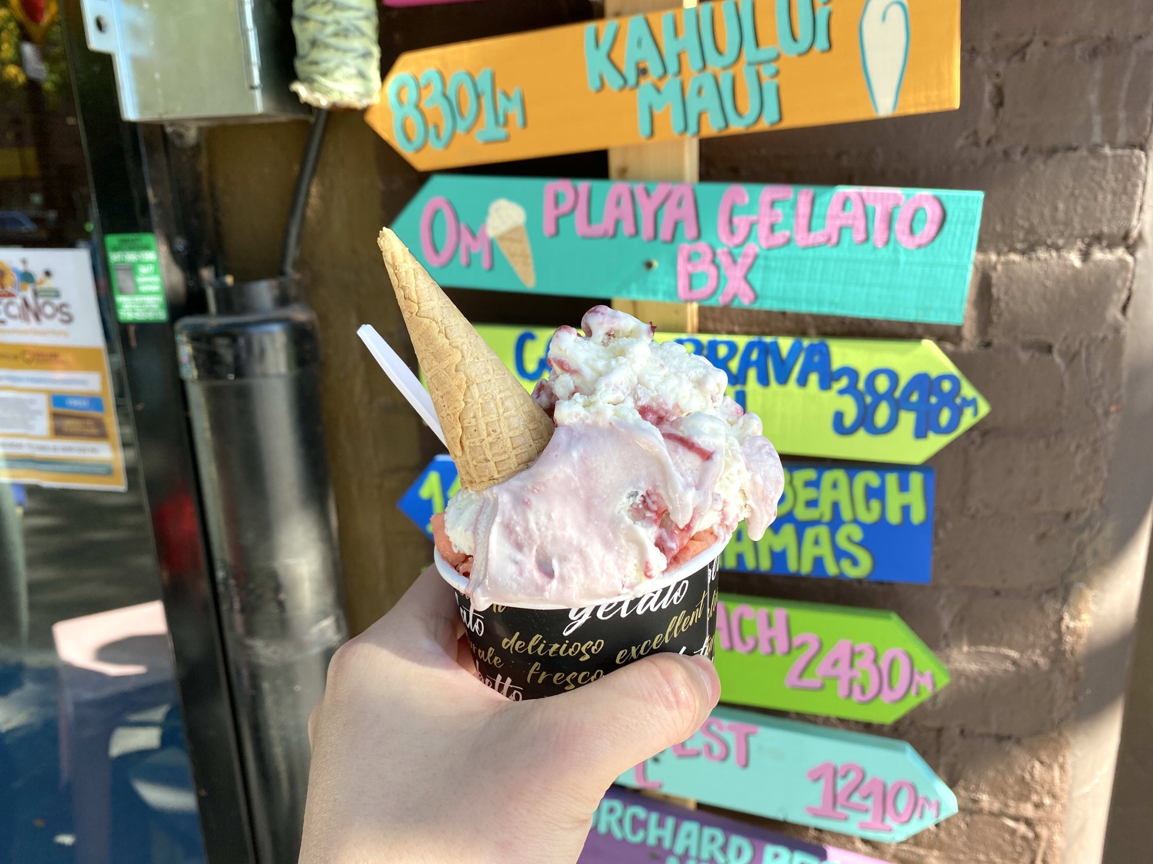 Playa Gelato Mott Haven New York The Infatuation