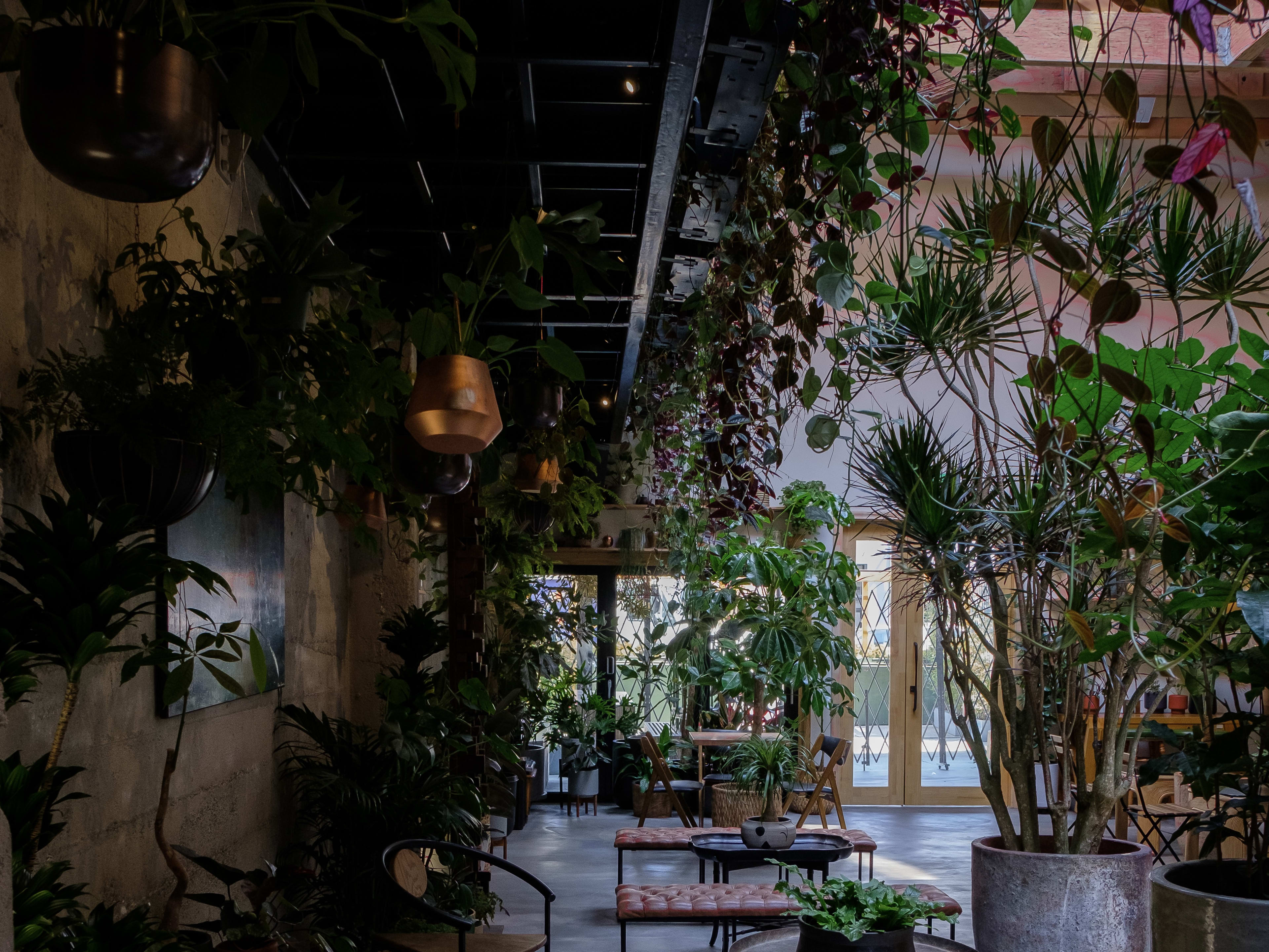 arcana-mission-san-francisco-the-infatuation