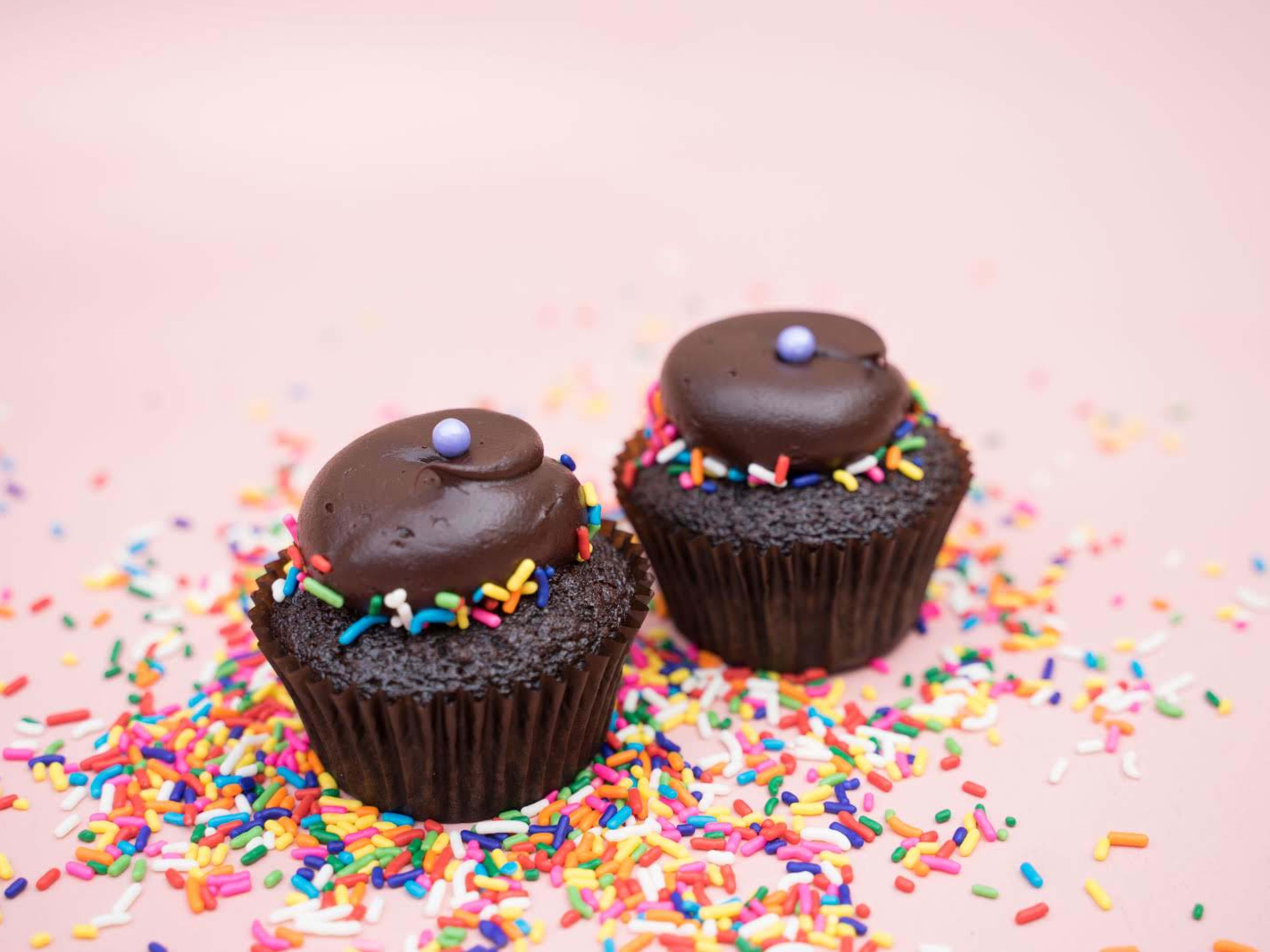 Two chocolate cupcakes with chocolate frosting sit in a pile of sprinkles.