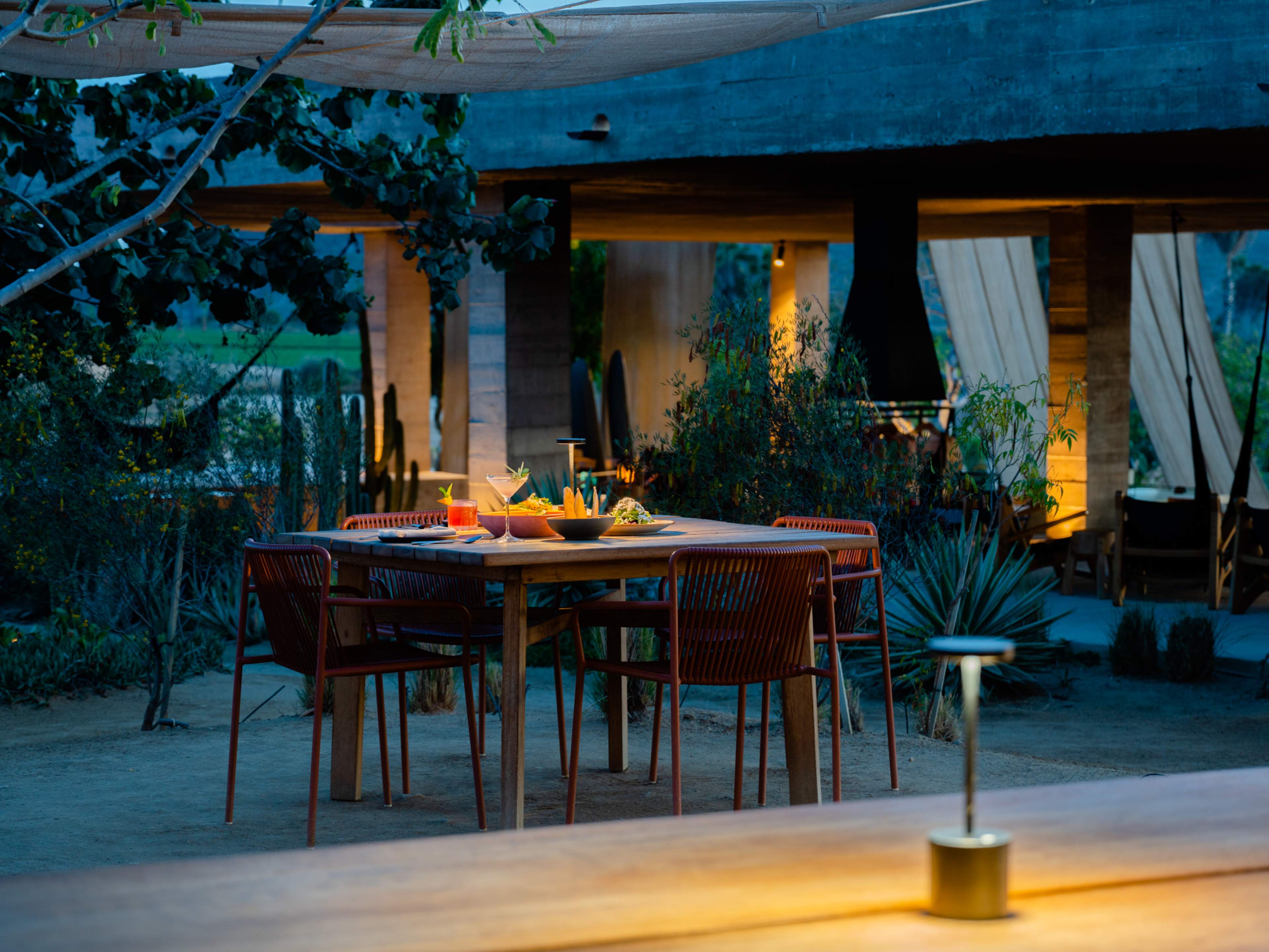 Spread of food from Tenoch on outdoor table at dusk