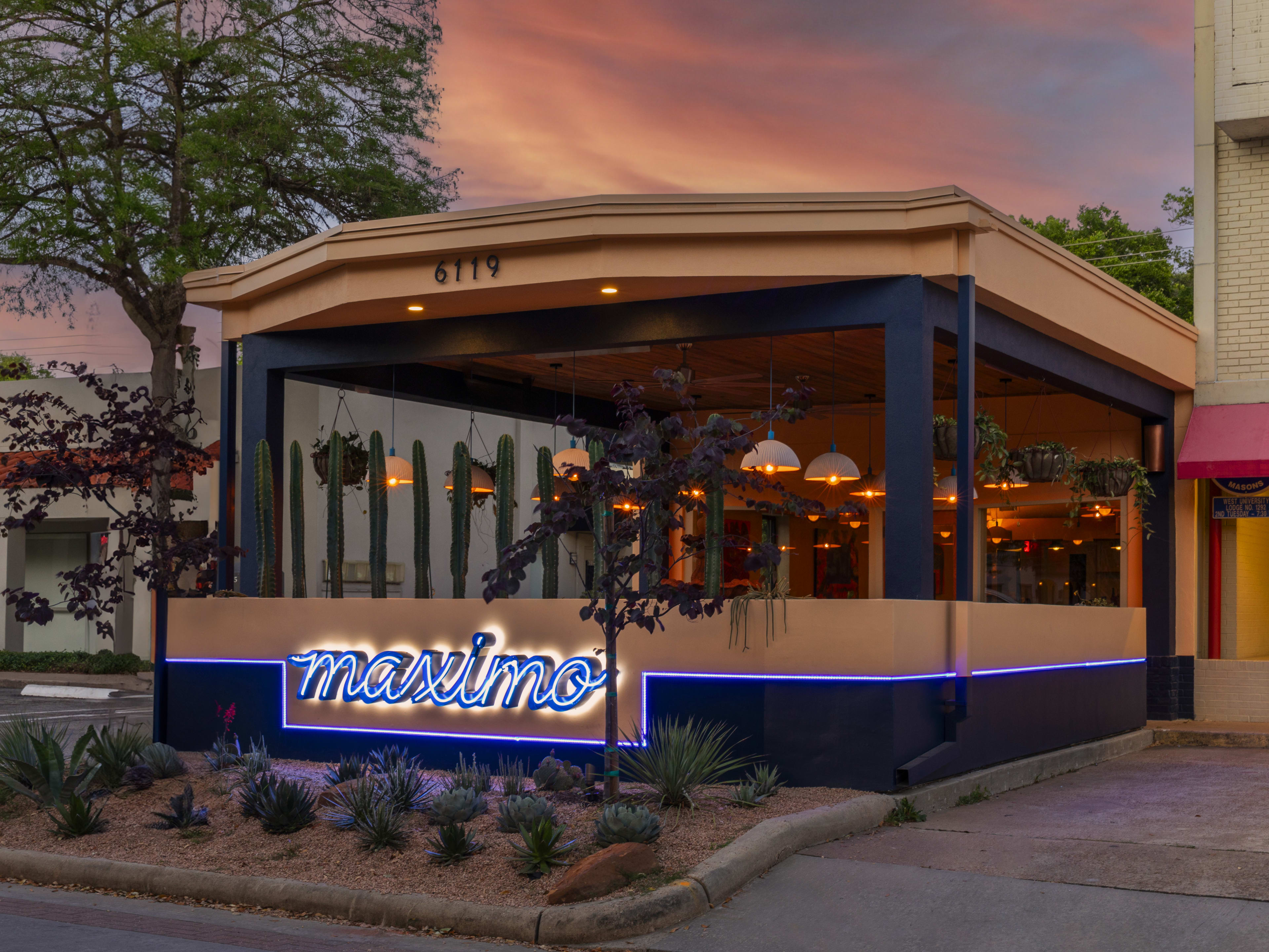 exterior covered patio area of Maximo Canteen with a blue neon sign that reads "Maximo" and a cactus garden