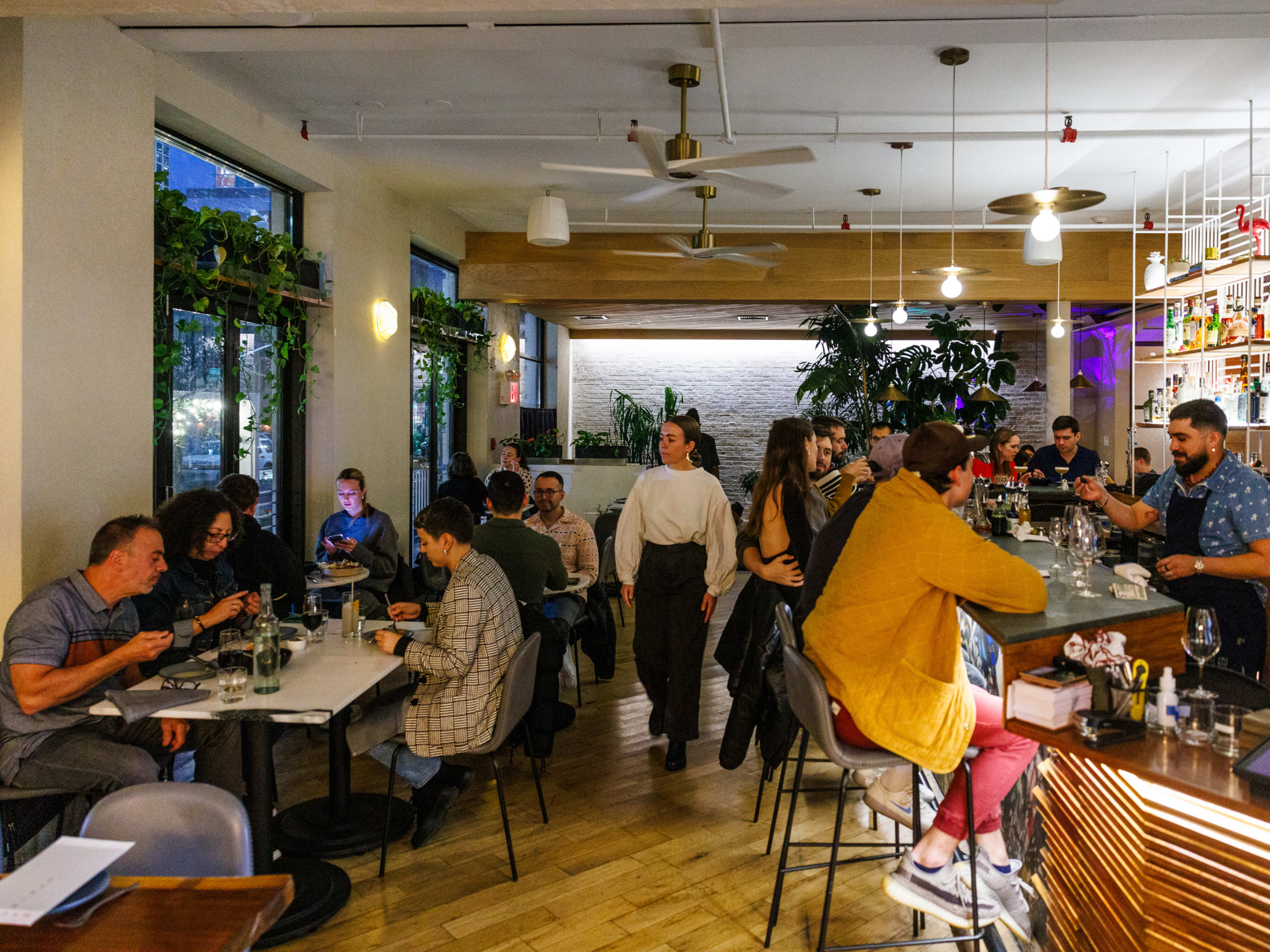 Madre interior filled with people, plants, and bar seating