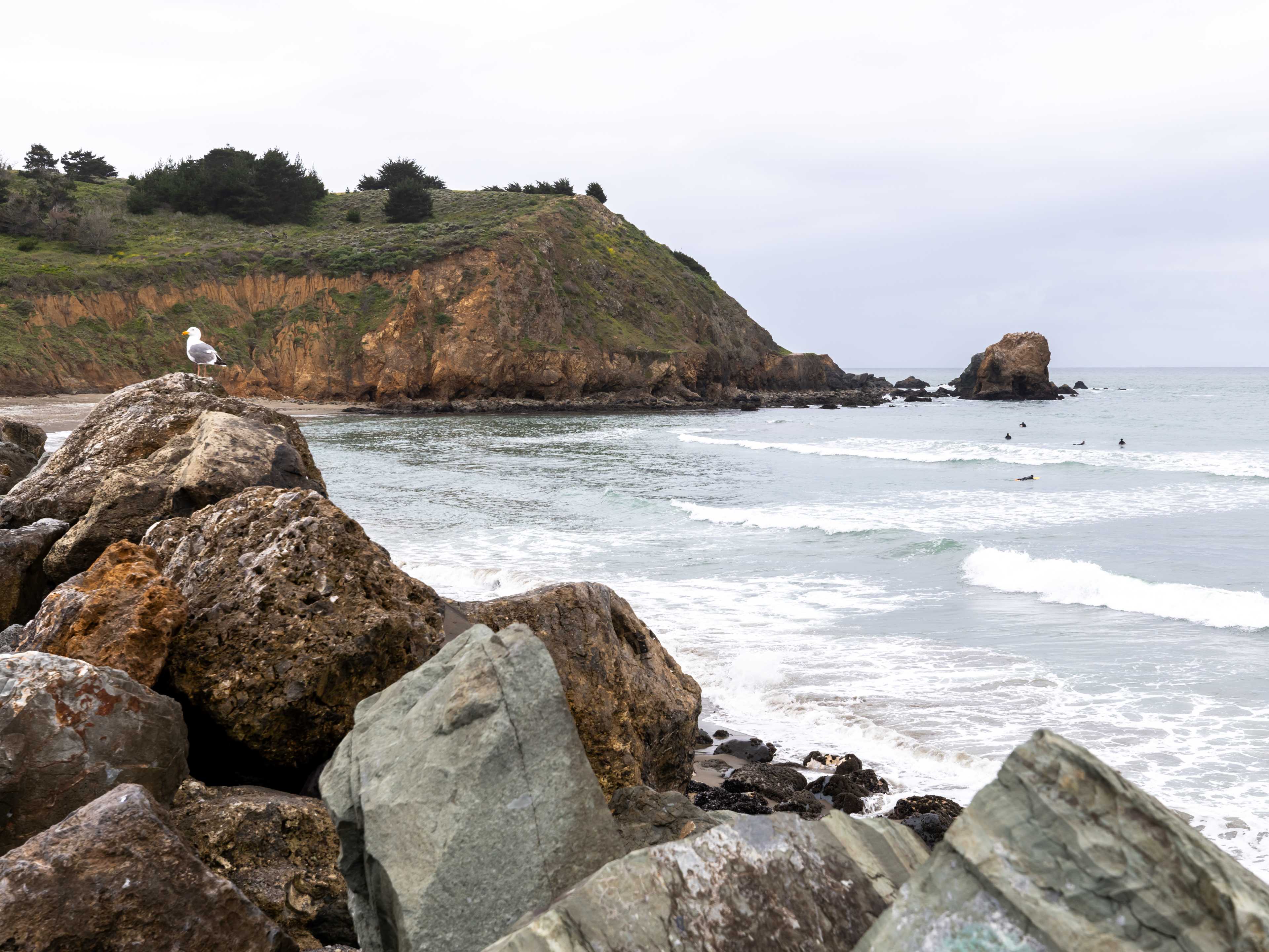 The Spots Of The Summer, SF Edition - San Francisco - The Infatuation