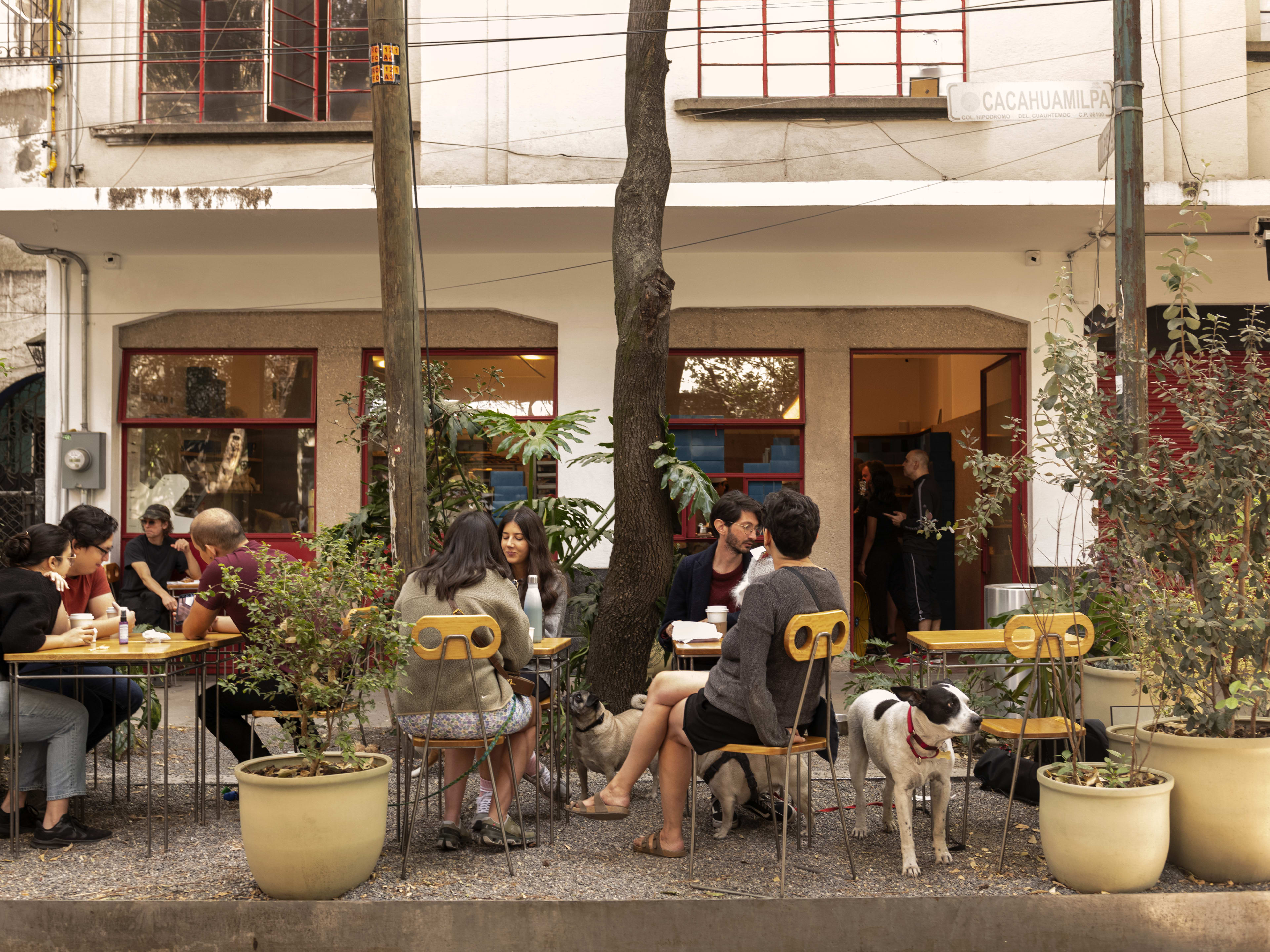 Bustling outdoor seating area at Odette