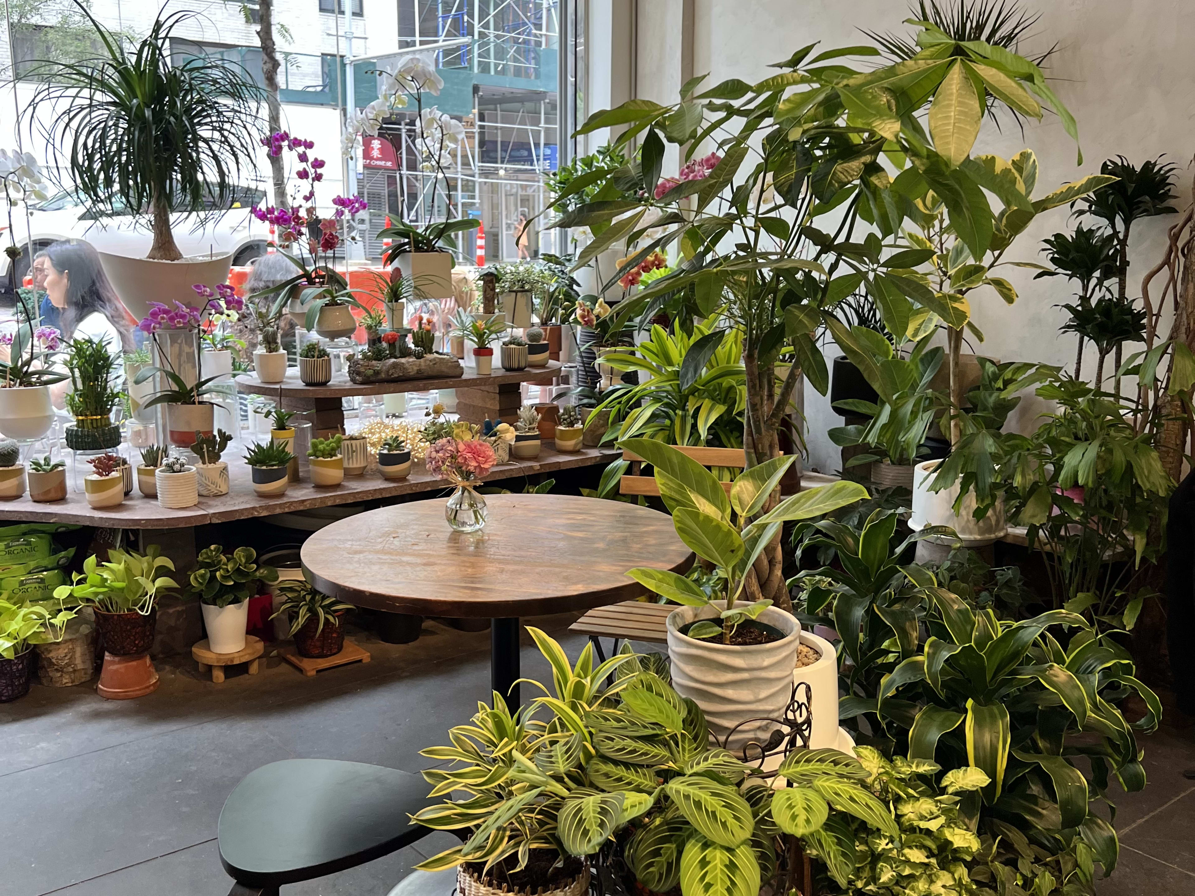 Potted plants and tables inside Remi43.