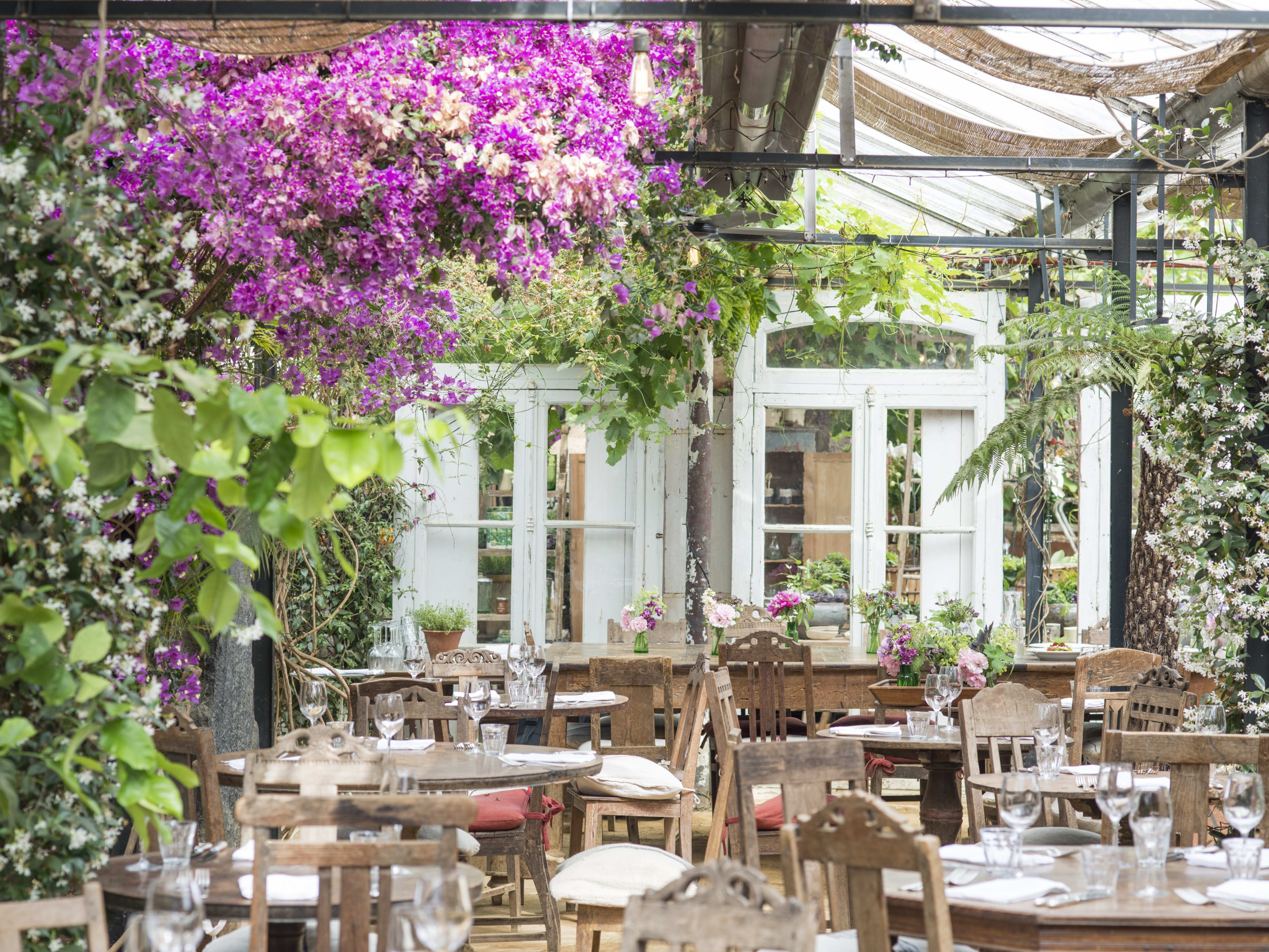 The Petersham Restaurant image