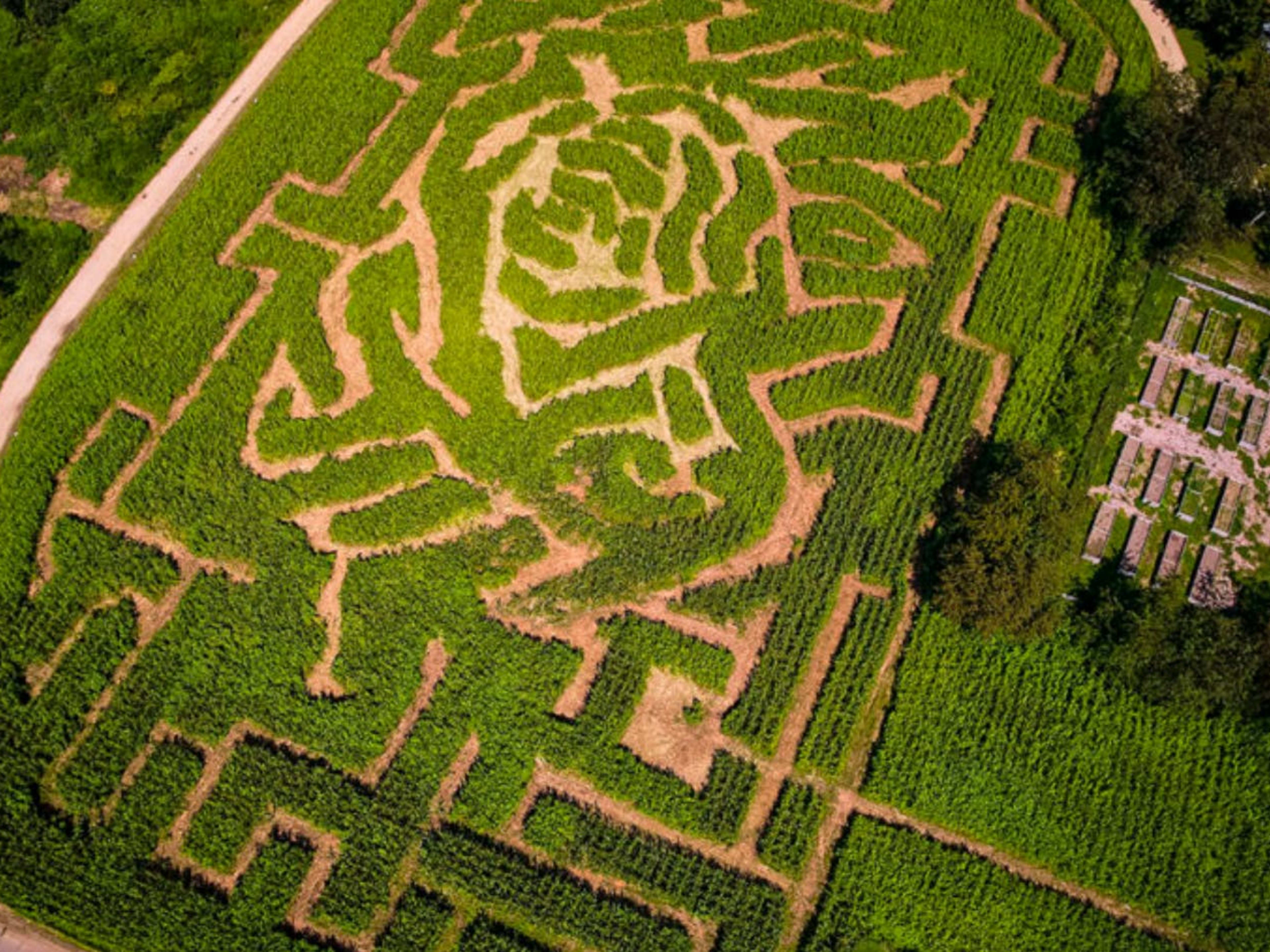 Queens County Farm Museum image