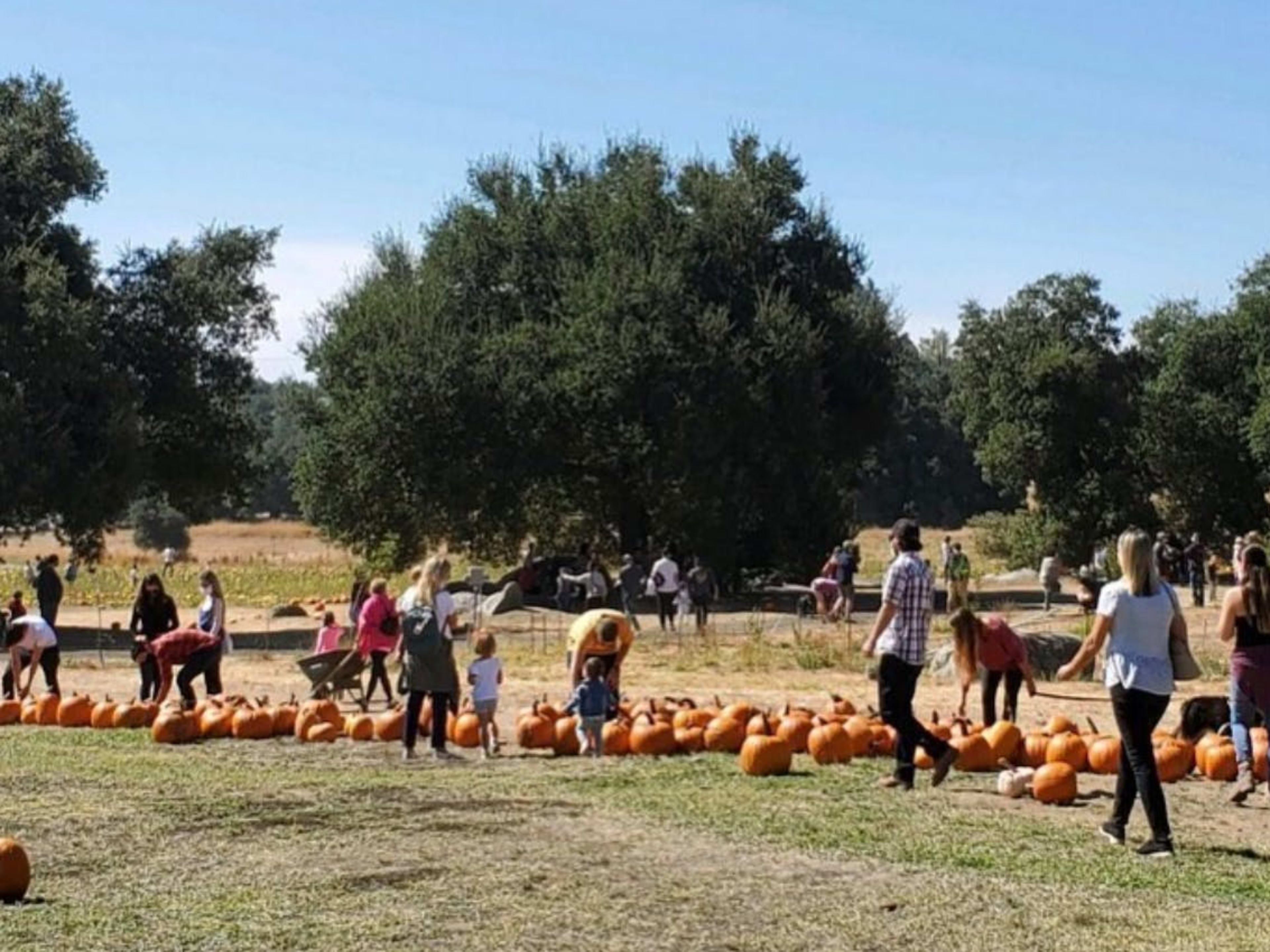 Julian Farm And Orchard image