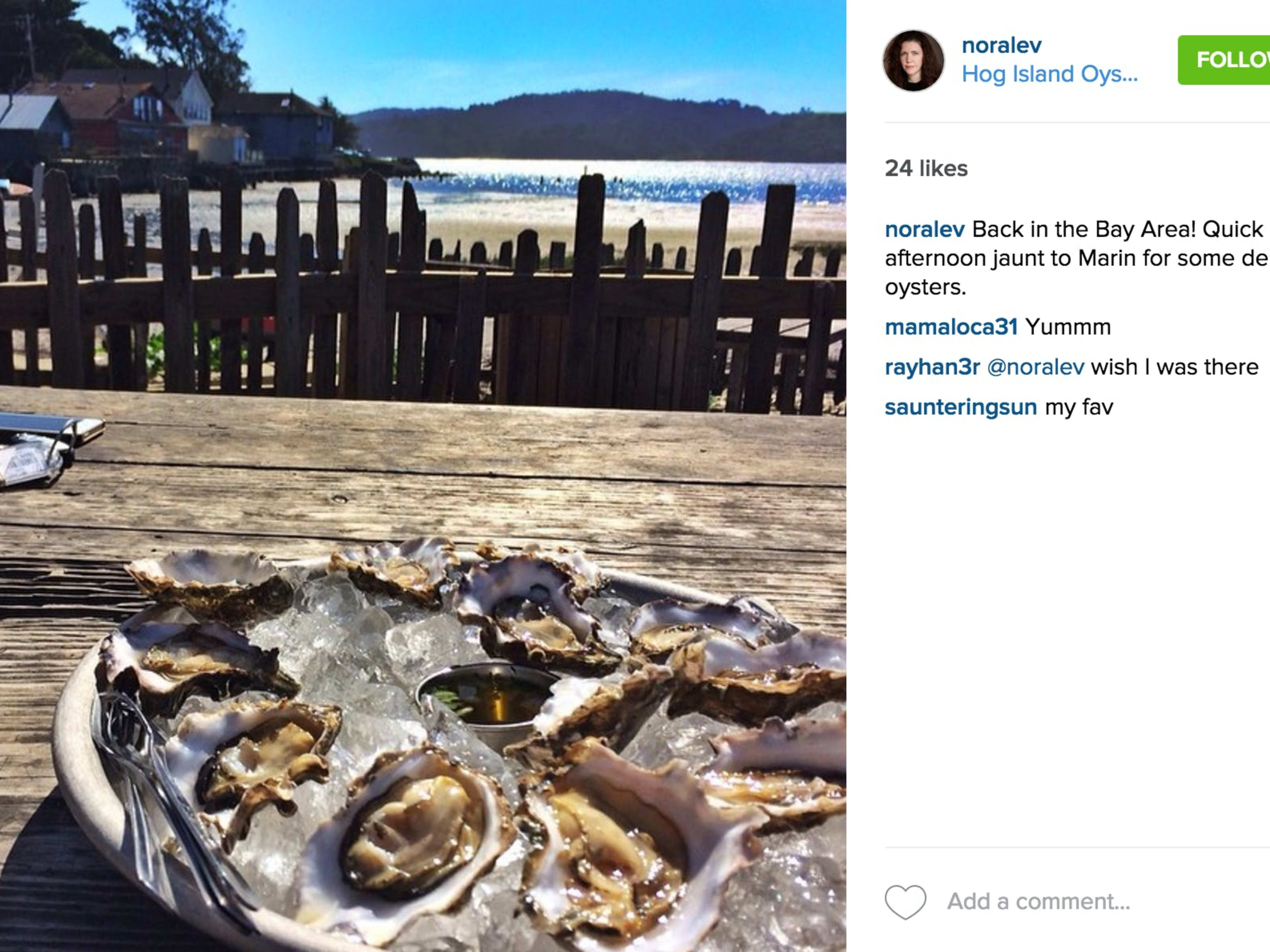 Hog Island Oyster Farm image