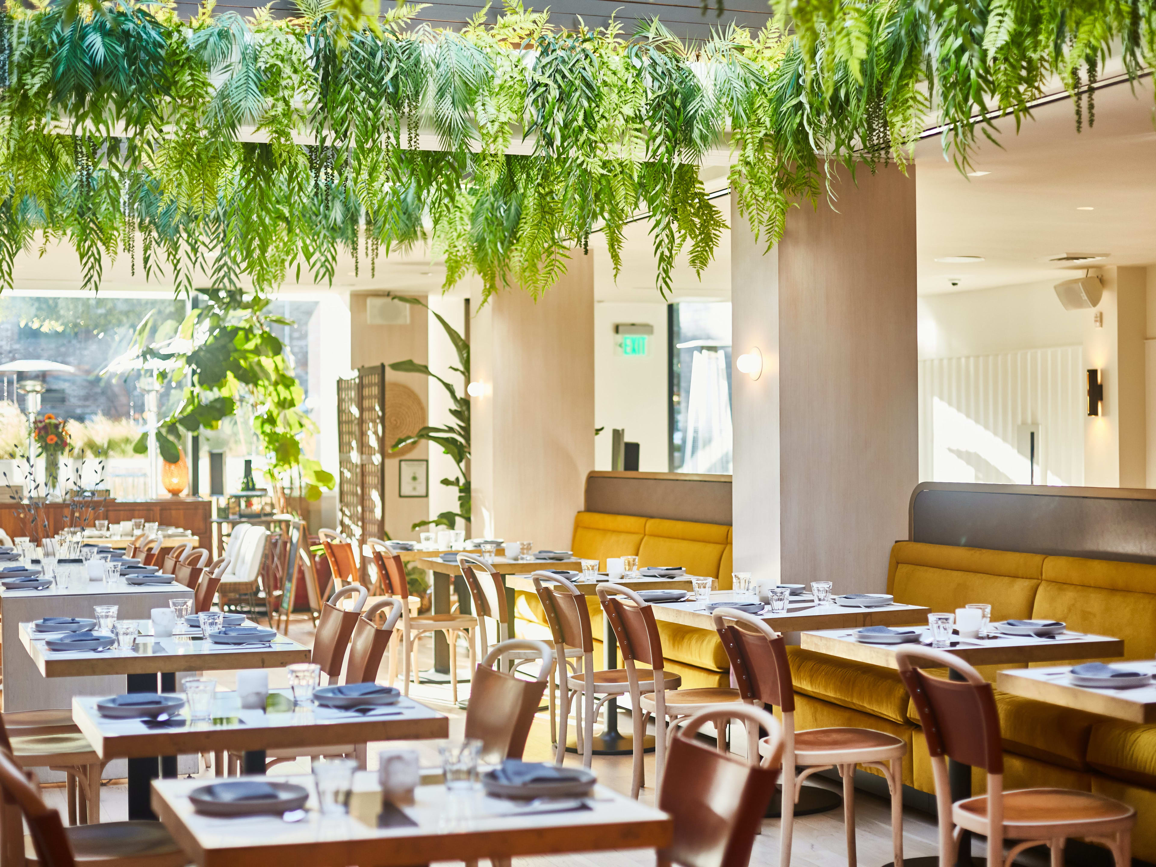 The interior of Abacá with plants hanging overhead