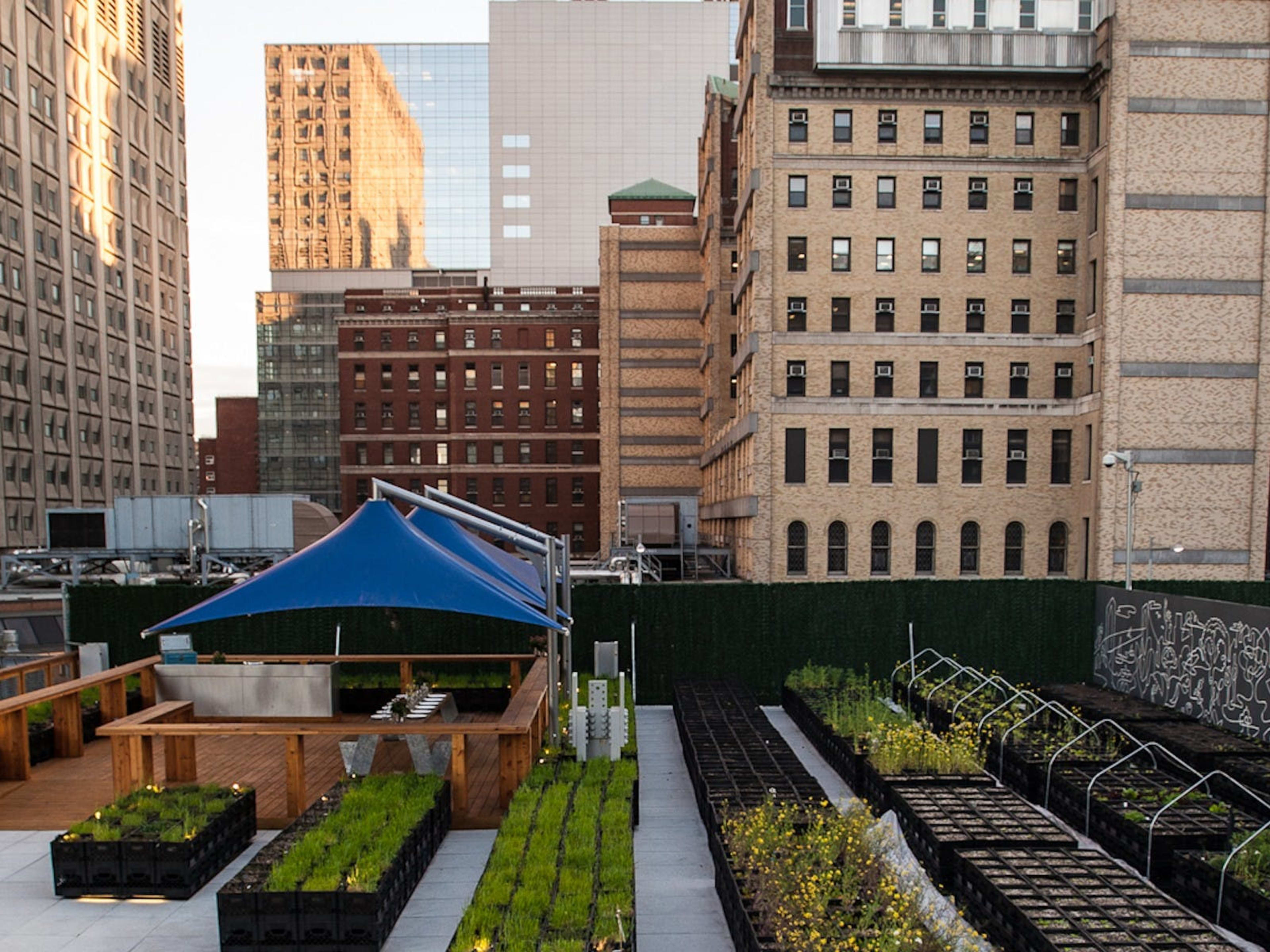 The Secret Rooftops & Patios Of NYC image