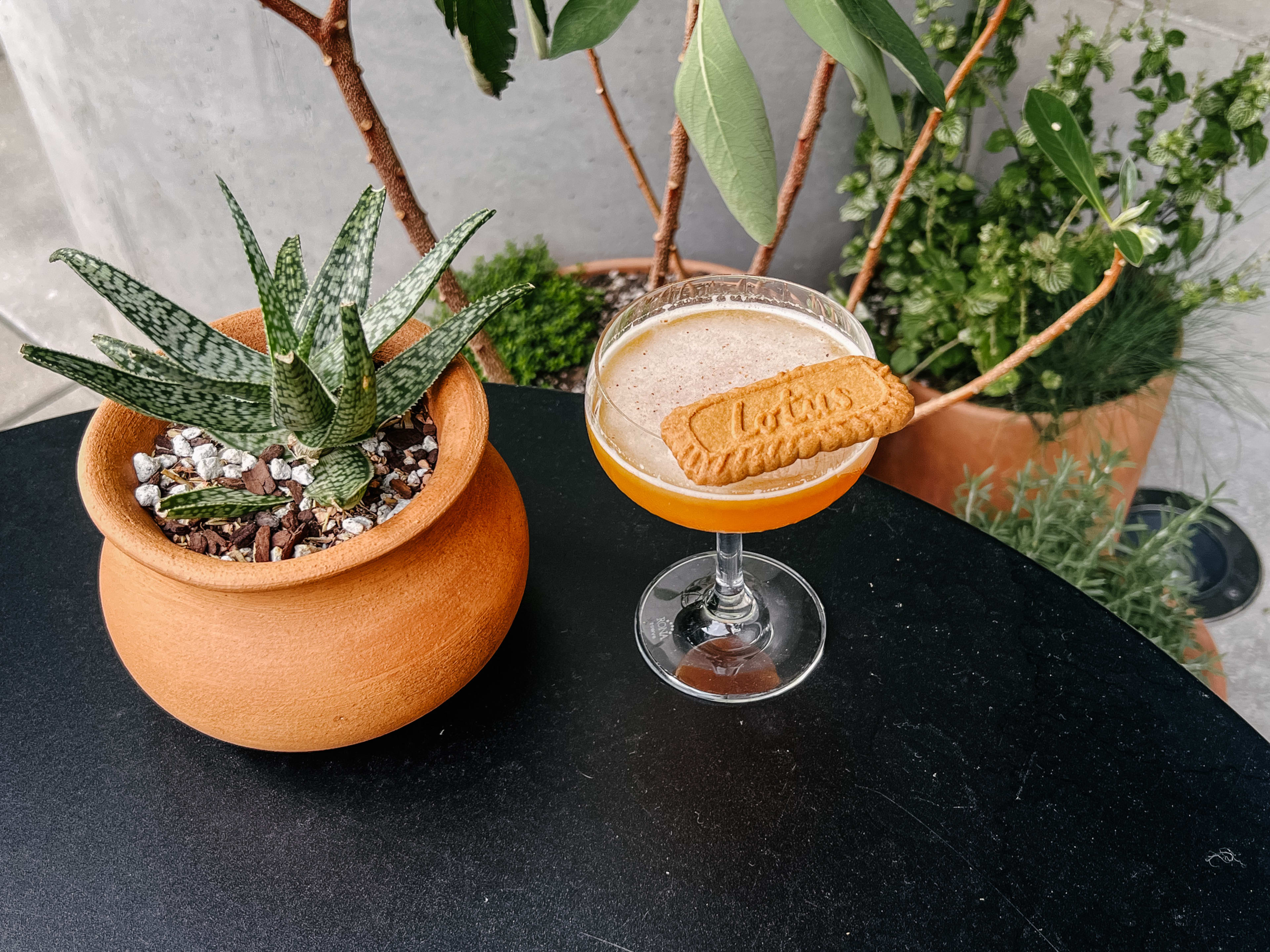 A cocktail sits next to an assortment of green plants.