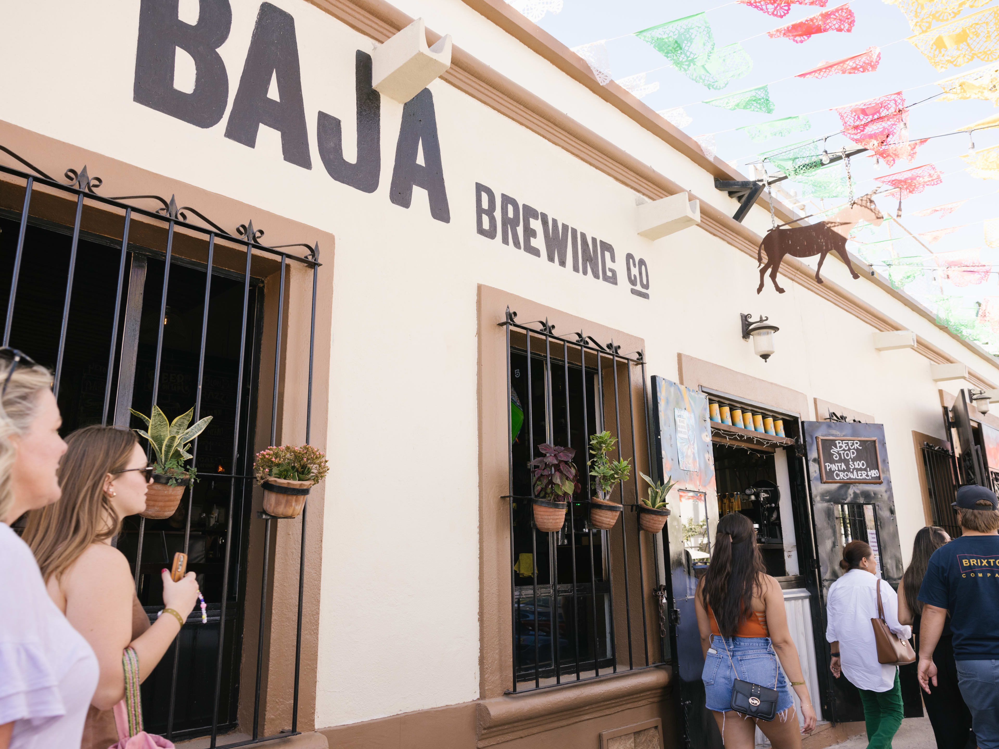 Baja Brewing Company image