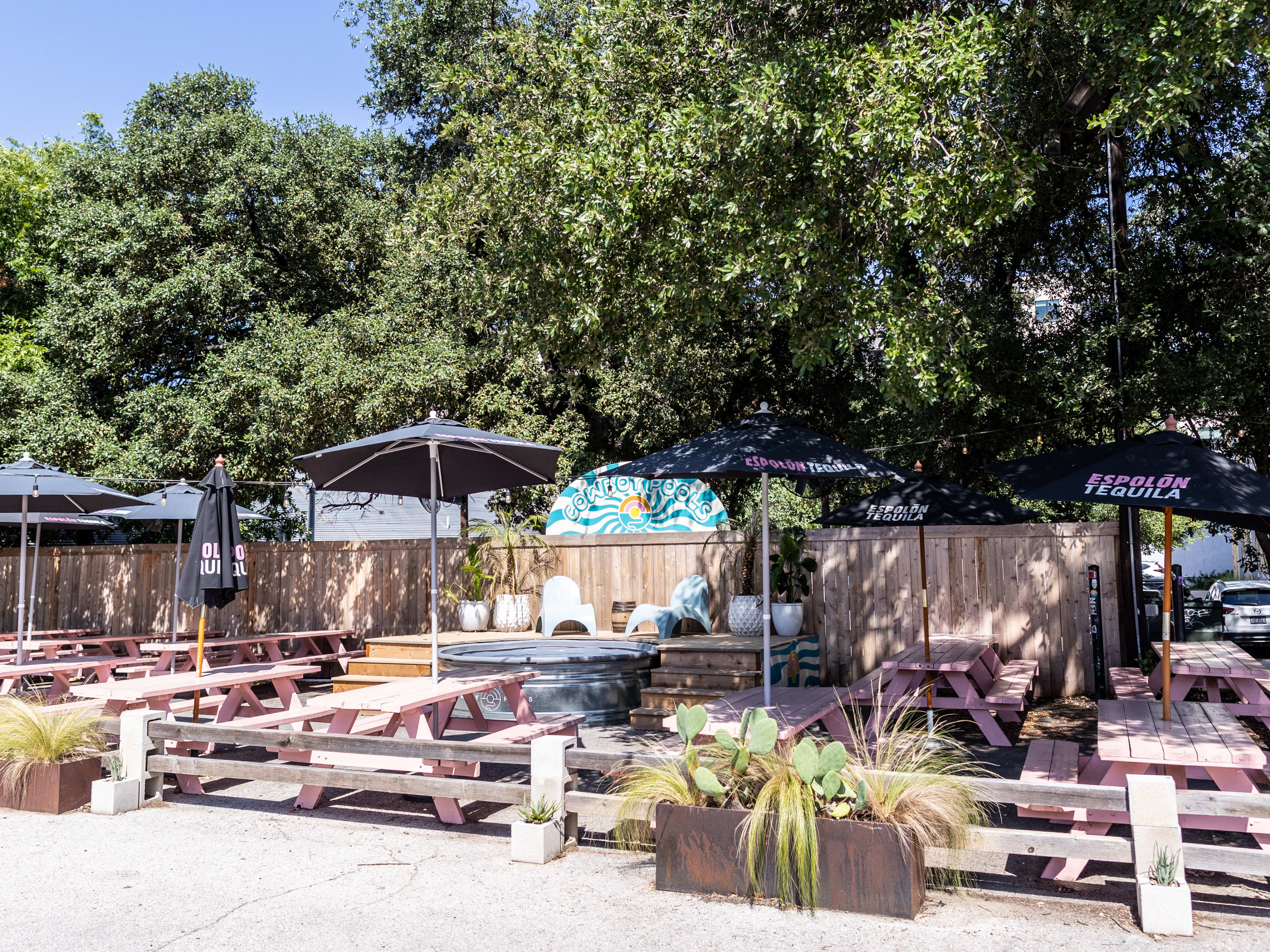 Where To Eat With Your Dog In Austin image