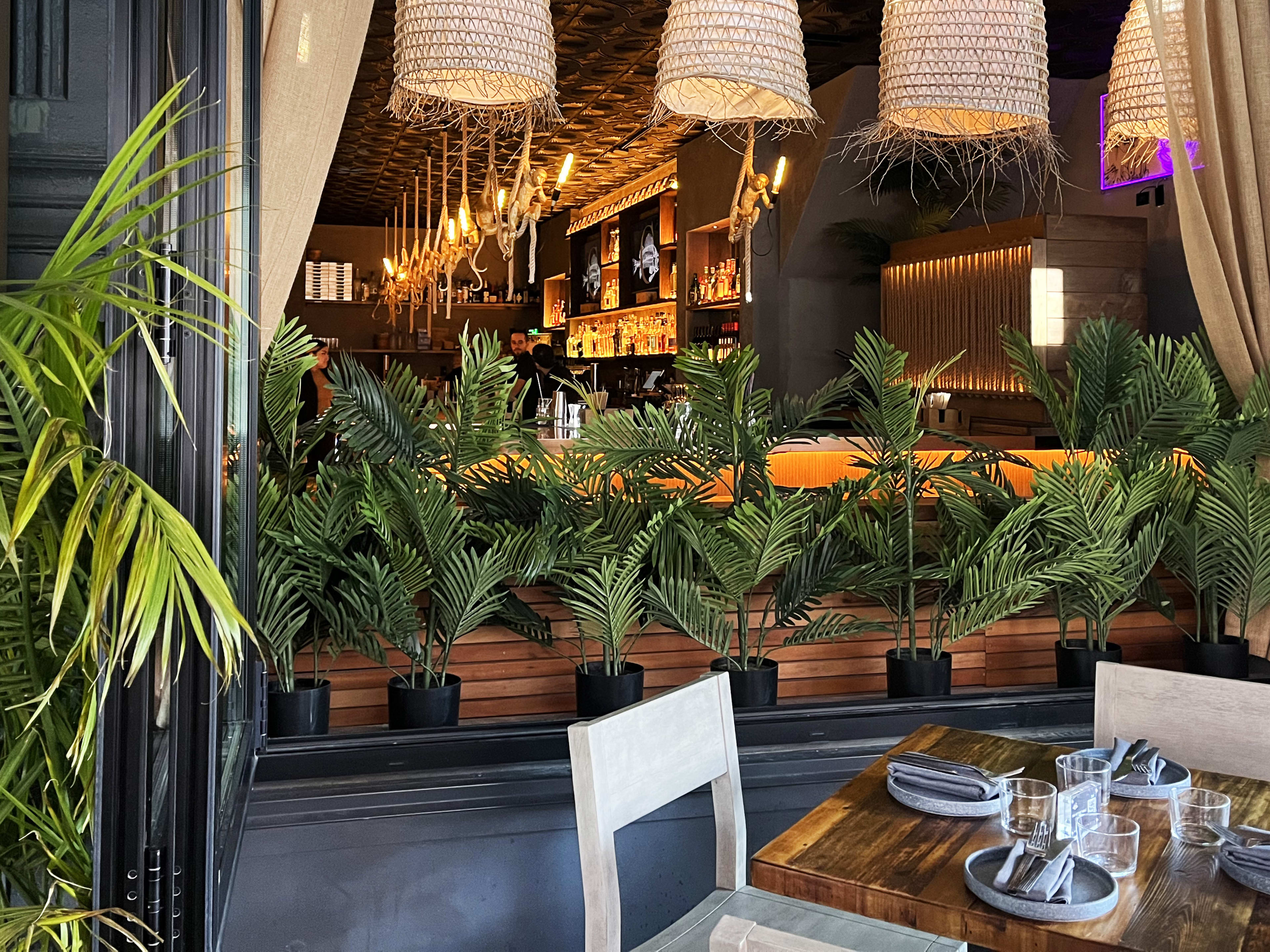 A table on the patio at Costera, with a view of the interior through an open window. There are many plants, basket lights, and orange lighting.