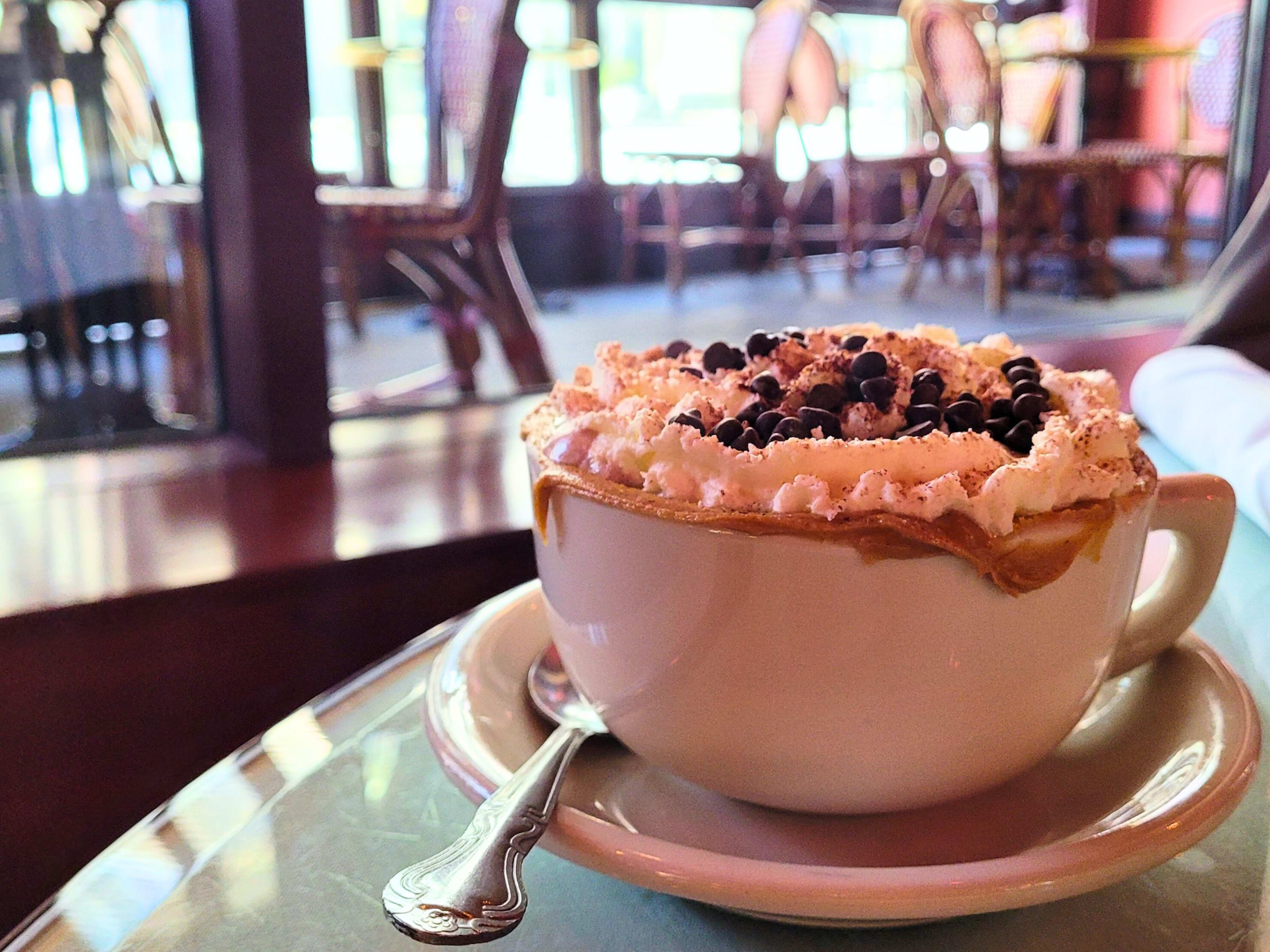 Hot chocolate with whipped cream and chocolate chips