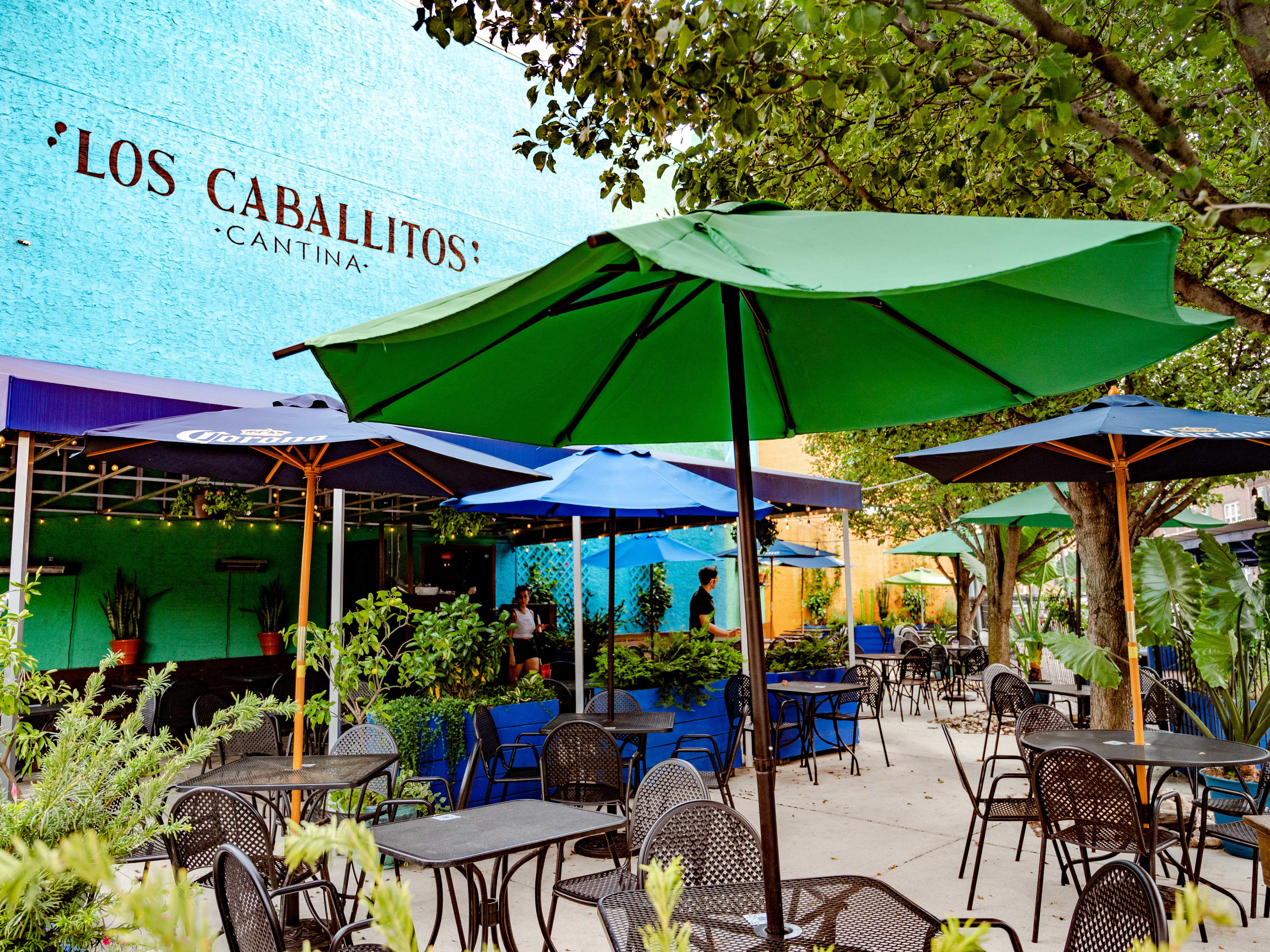 Cantina Los Caballitos image