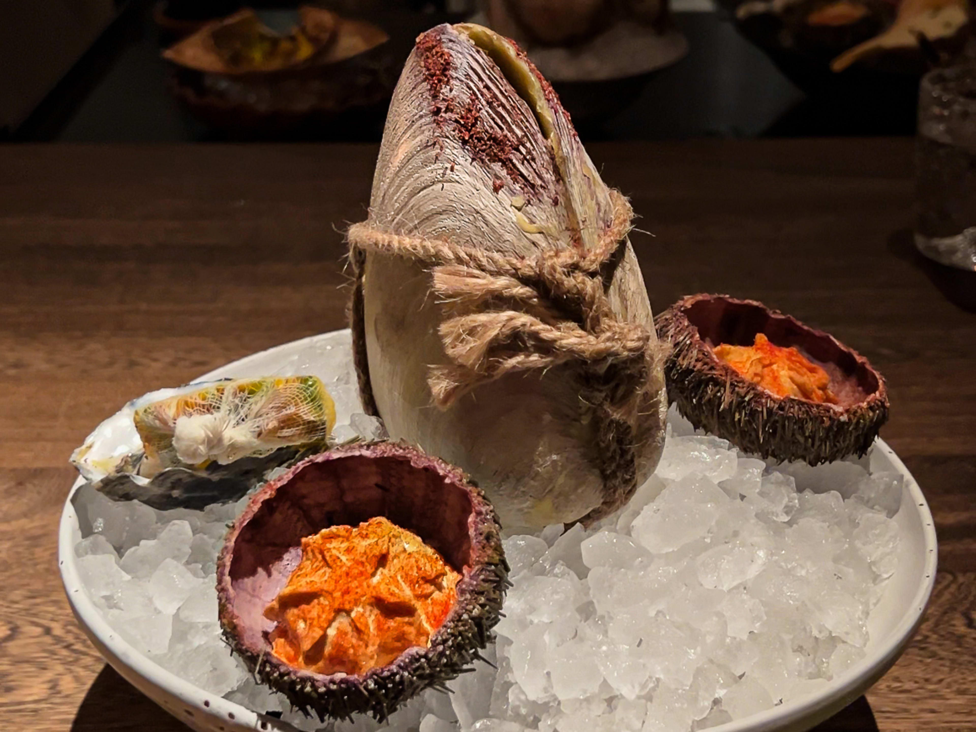 A large surf clam shell on a bowl of ice surrounded by uni.