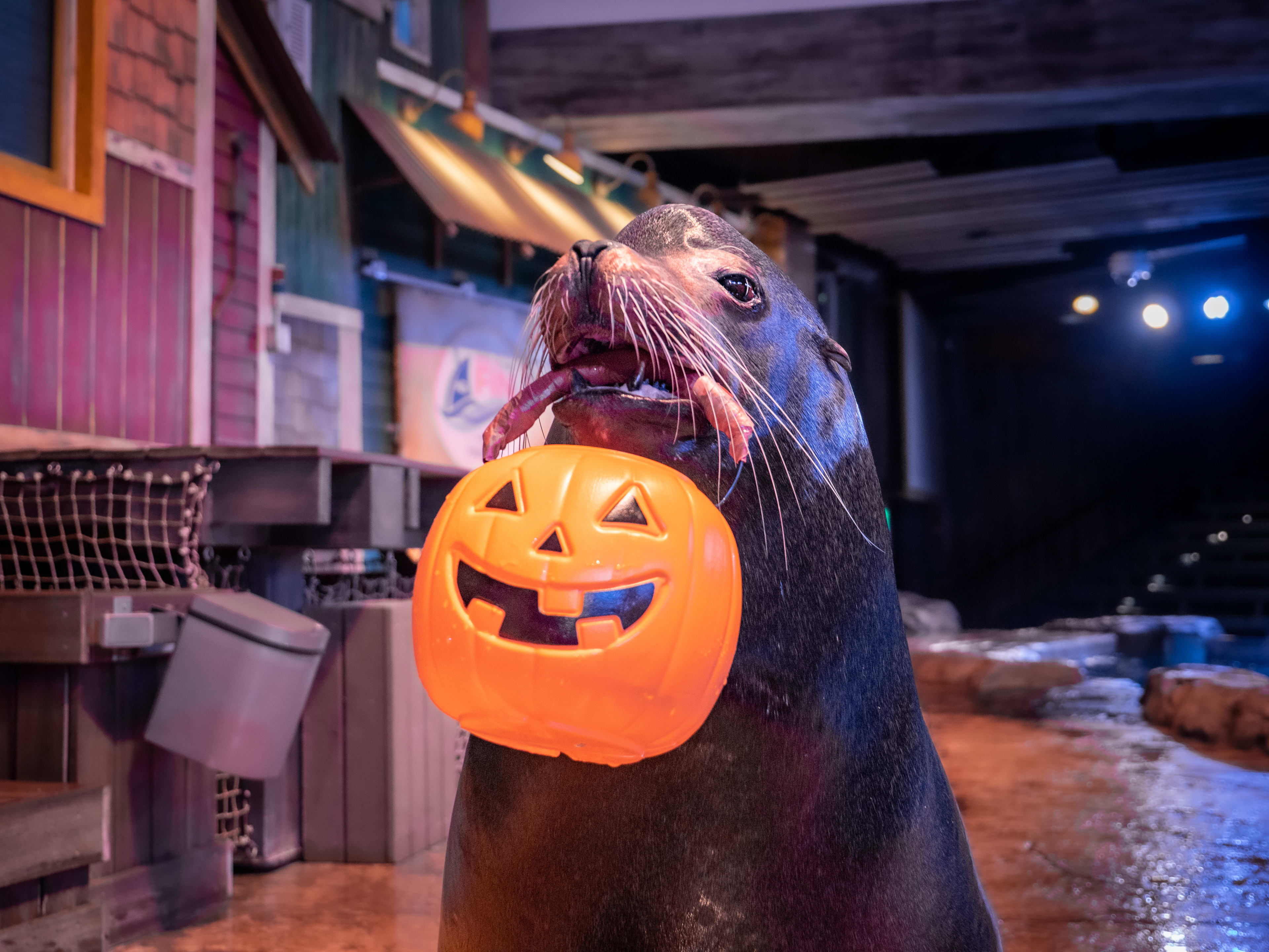 Exciting Places To Eat & Drink In Atlanta This Halloween Season
