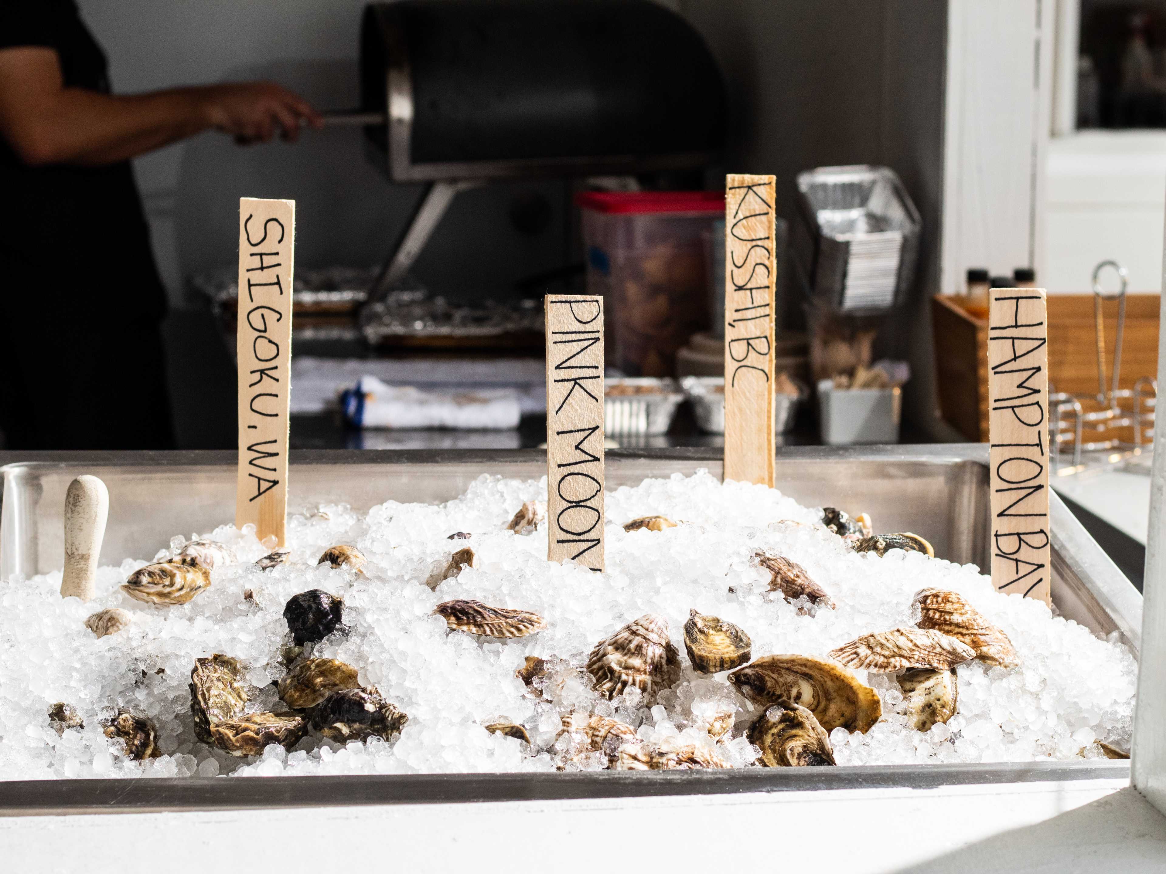 ice trough filled with oysters